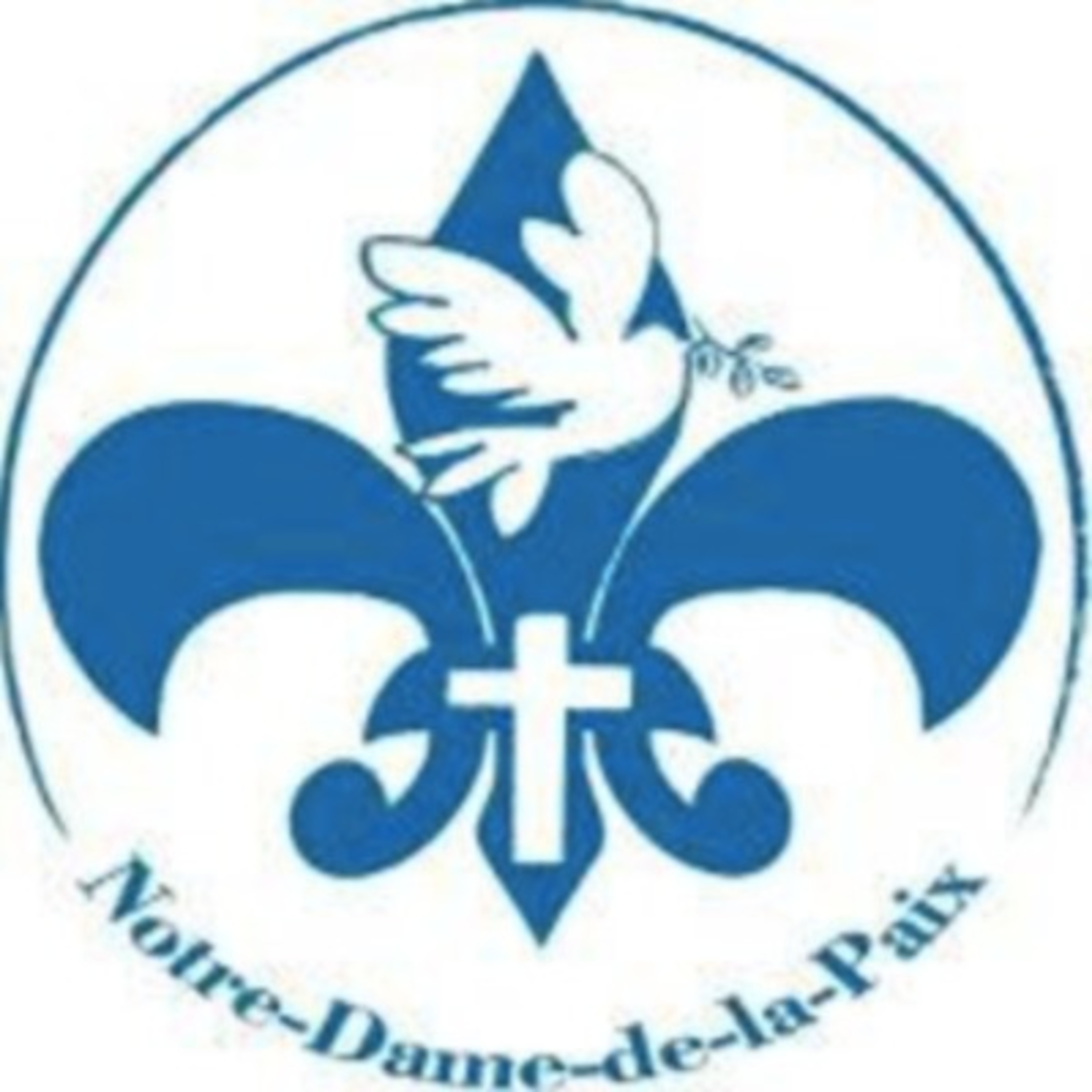 6e NDP - Élèves