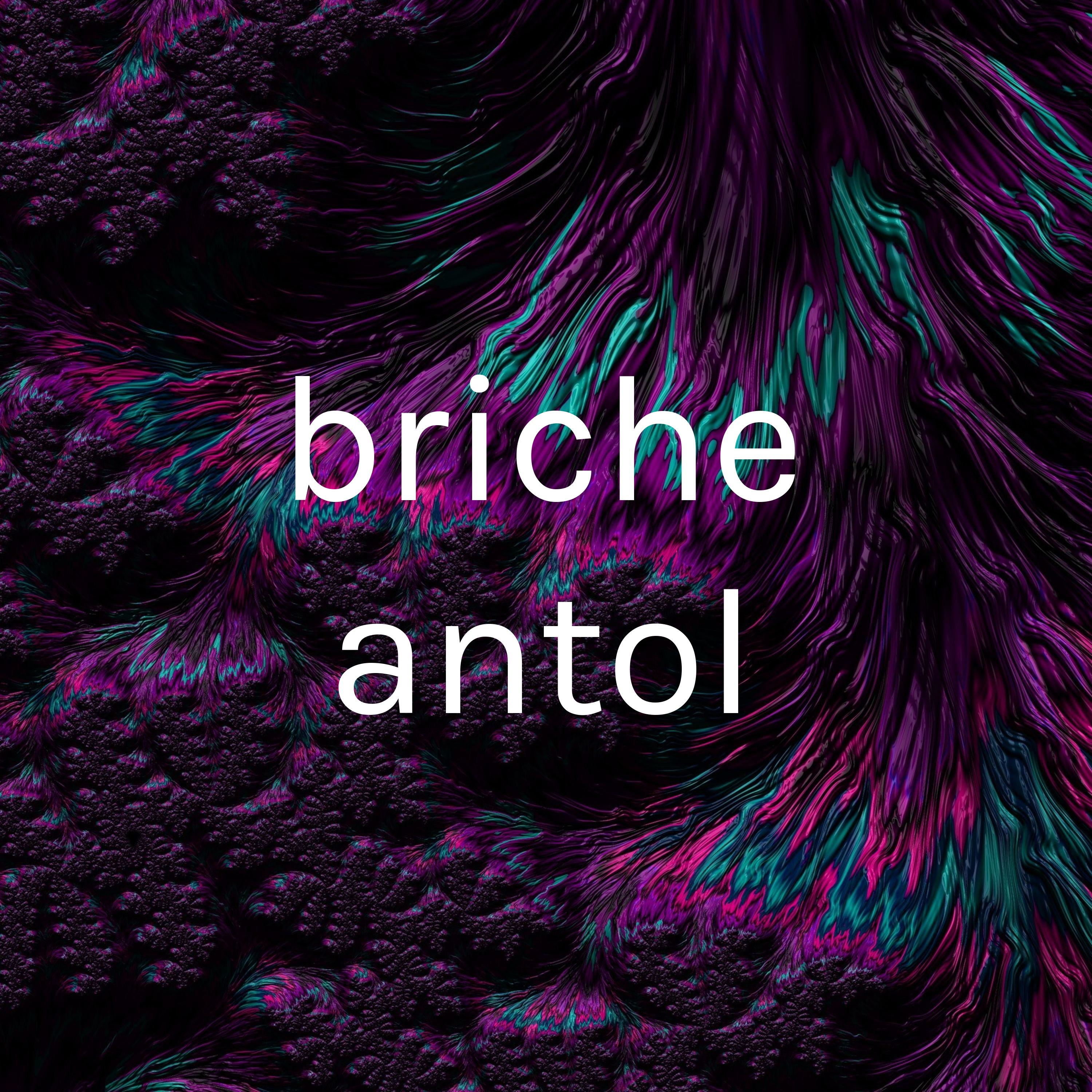 briche antol