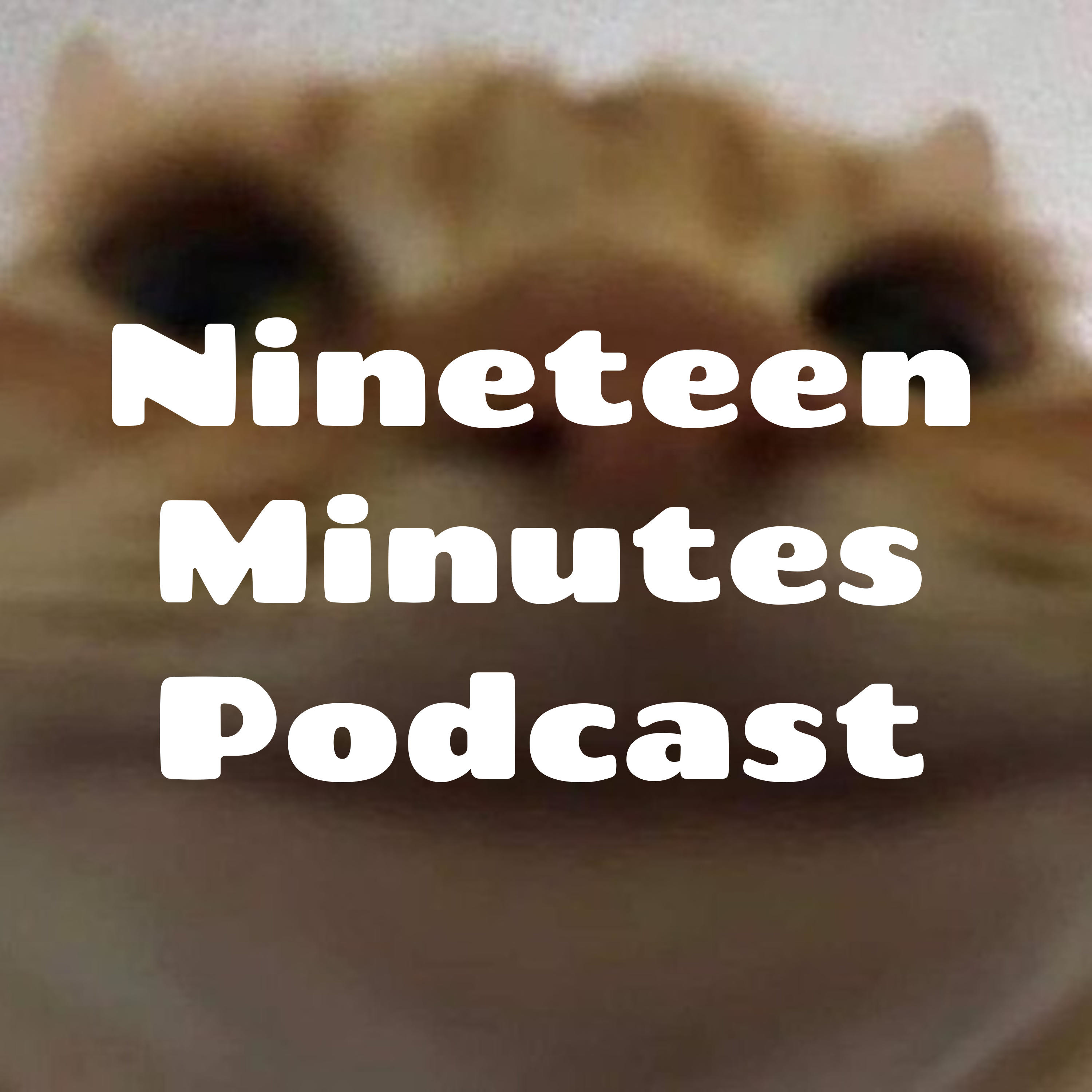 Nineteen Minutes in 10 Minutes
