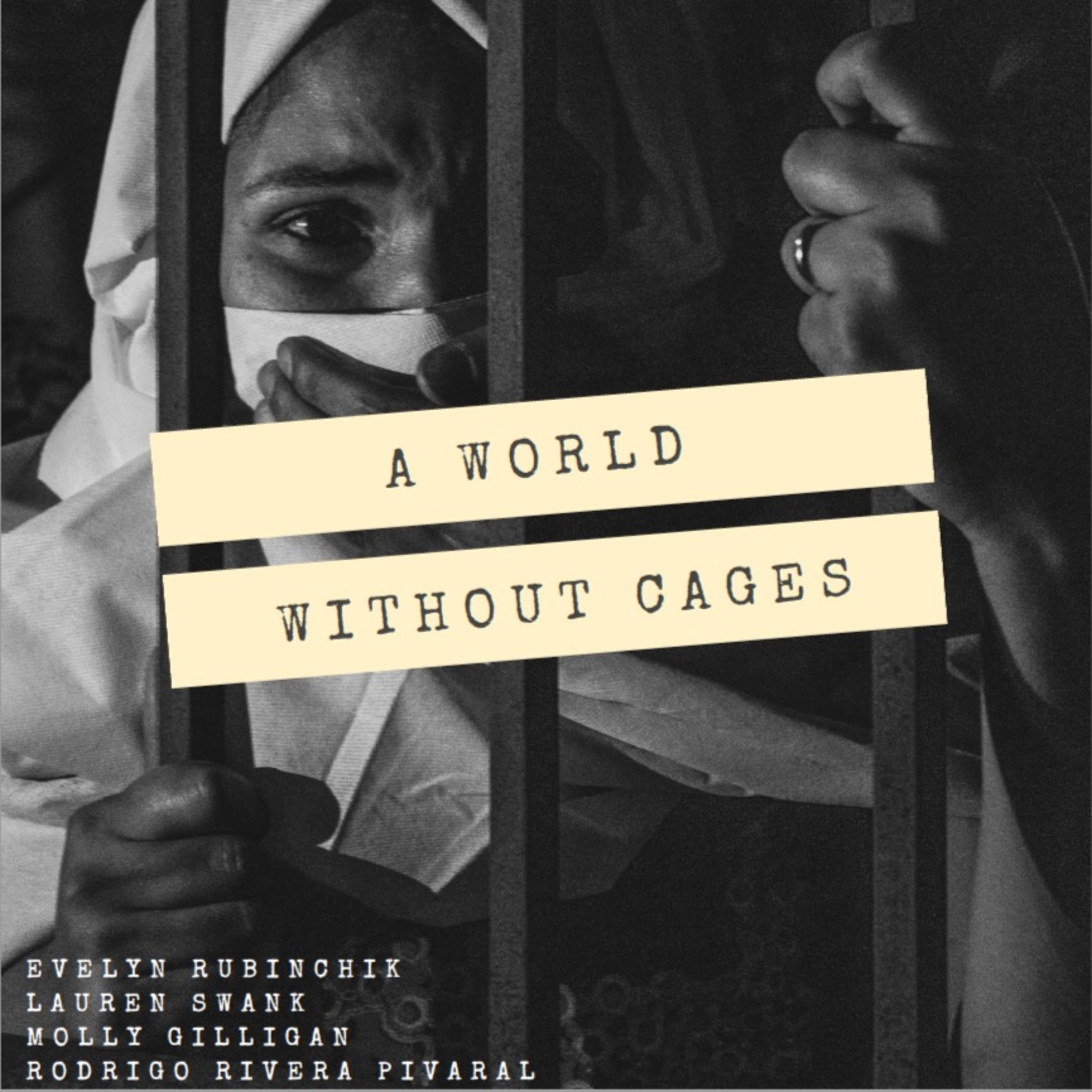 A World Without Cages