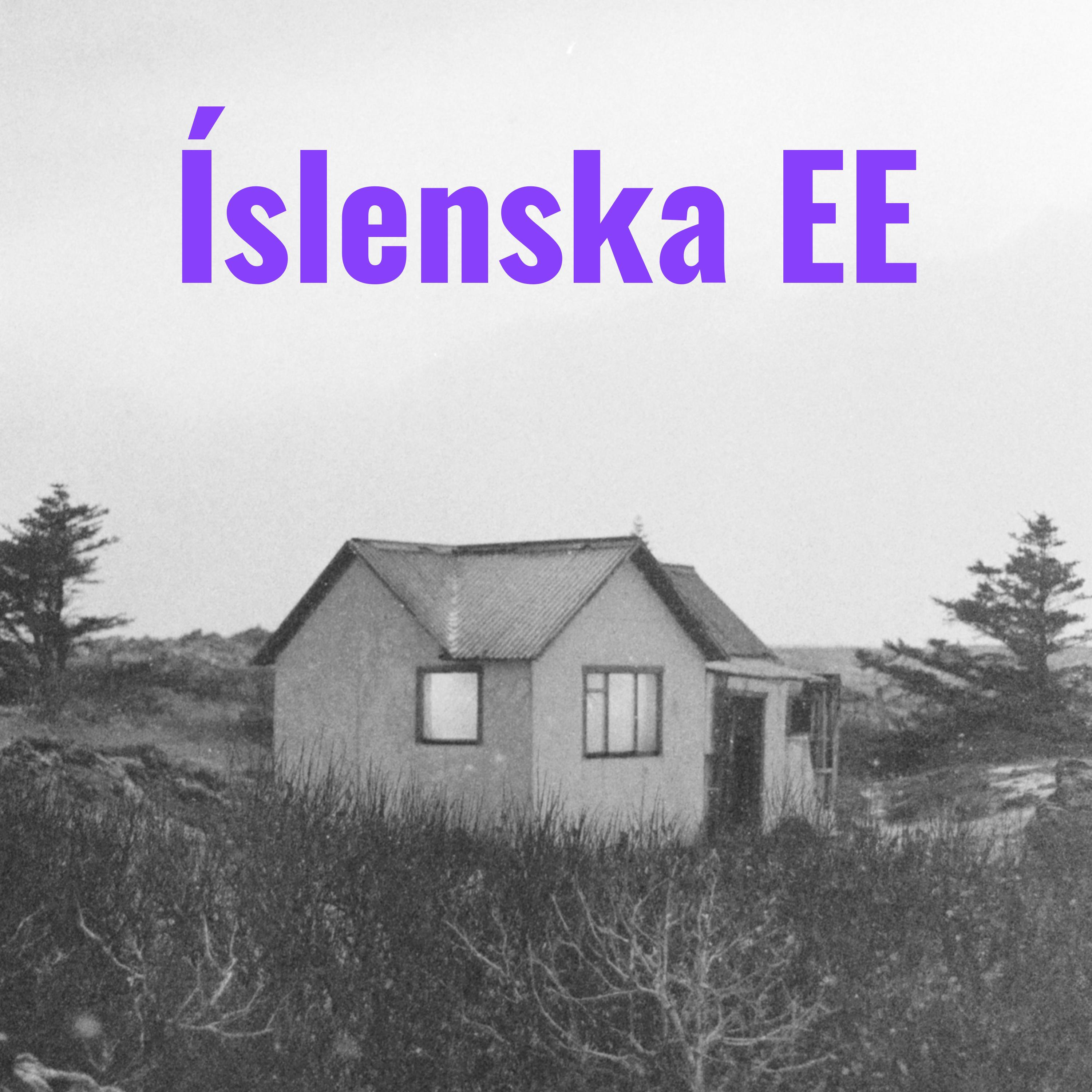 Íslenska EE - MH