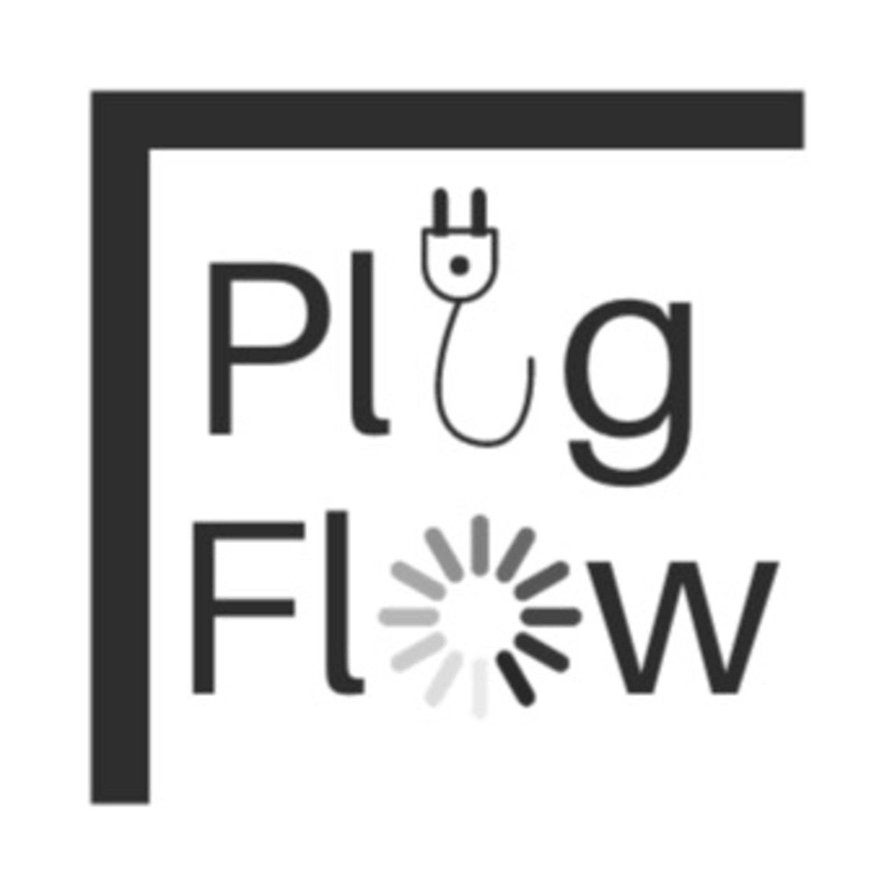 Plug Flow- Luis Camarena