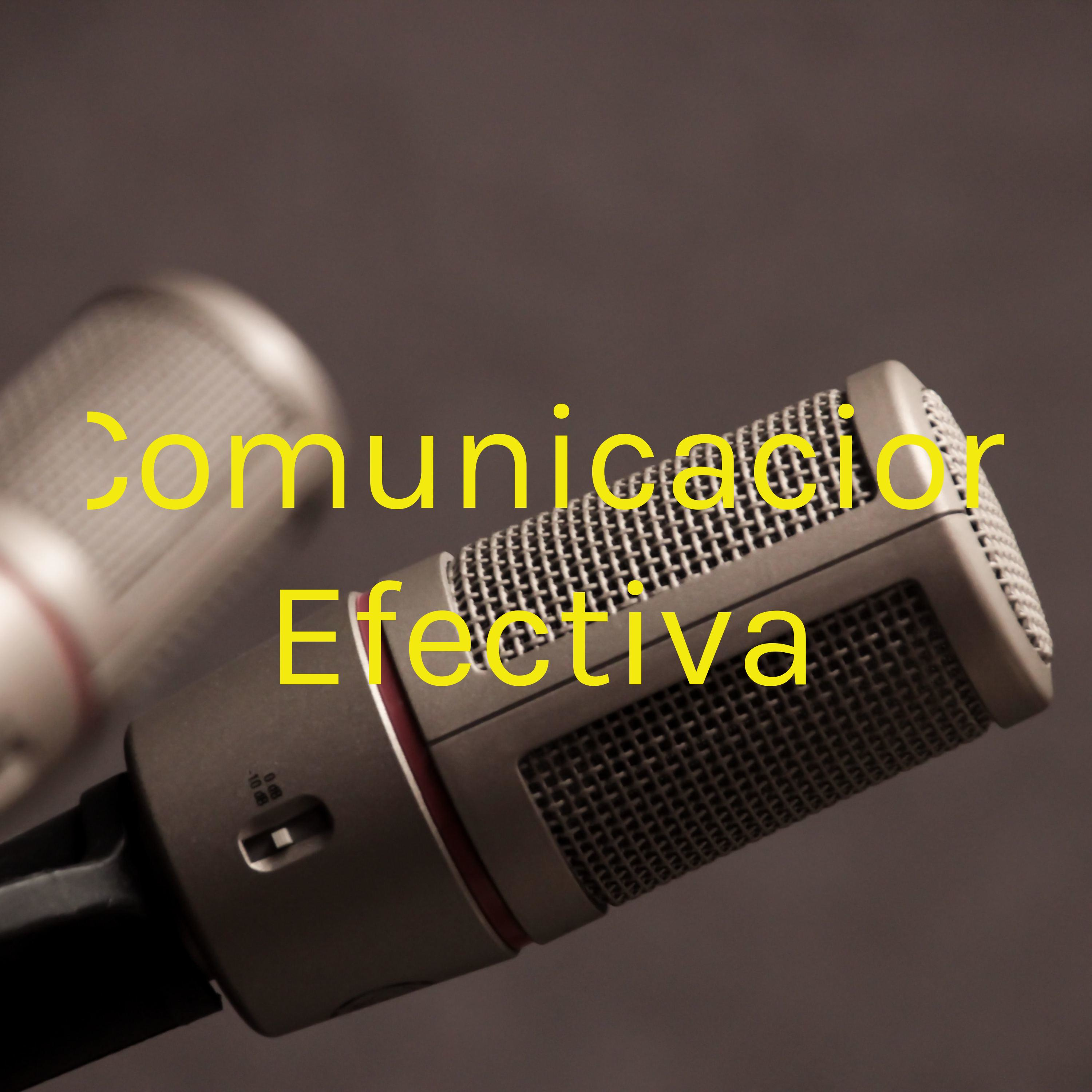 Comunicacion Efectiva cover art