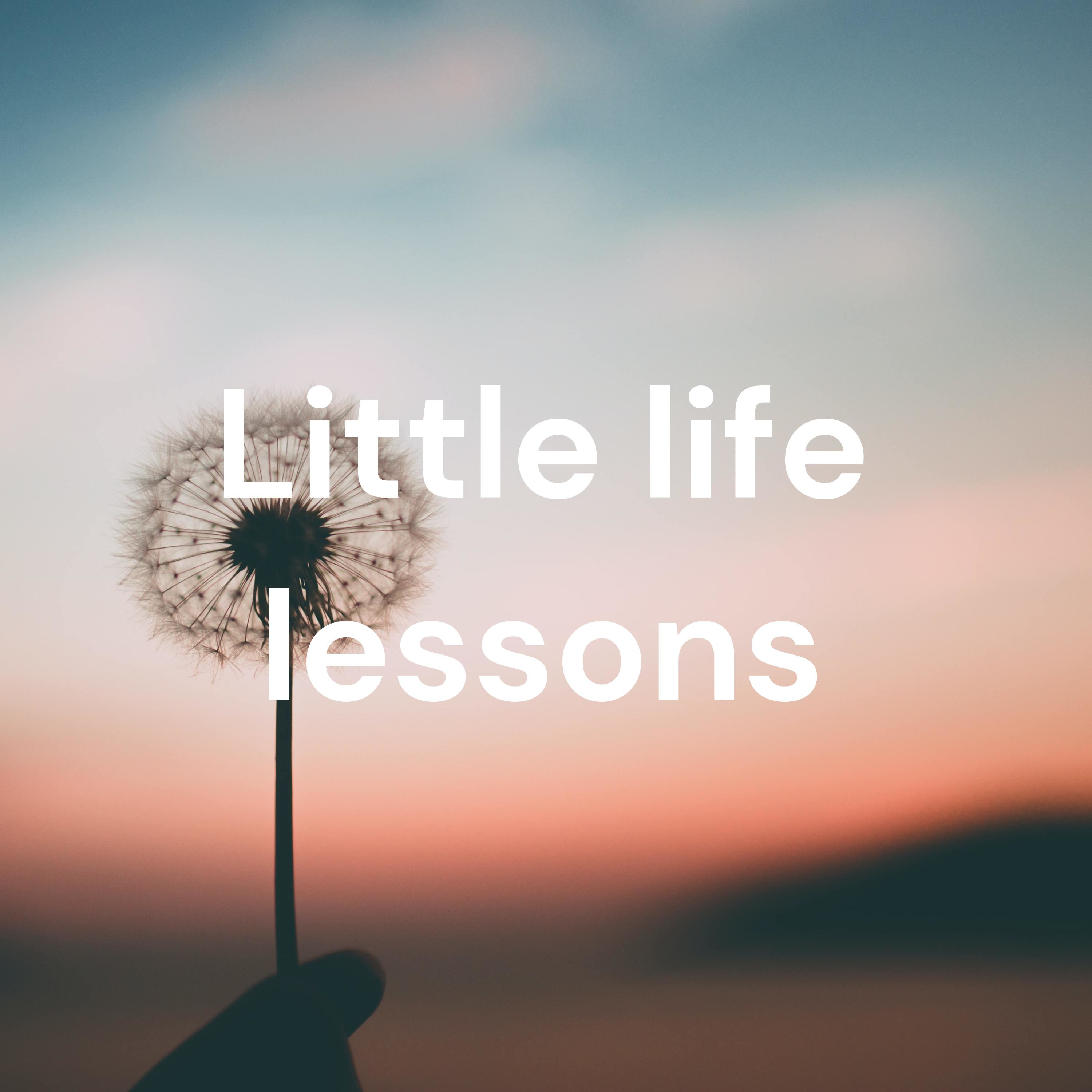 Little Life Lessons