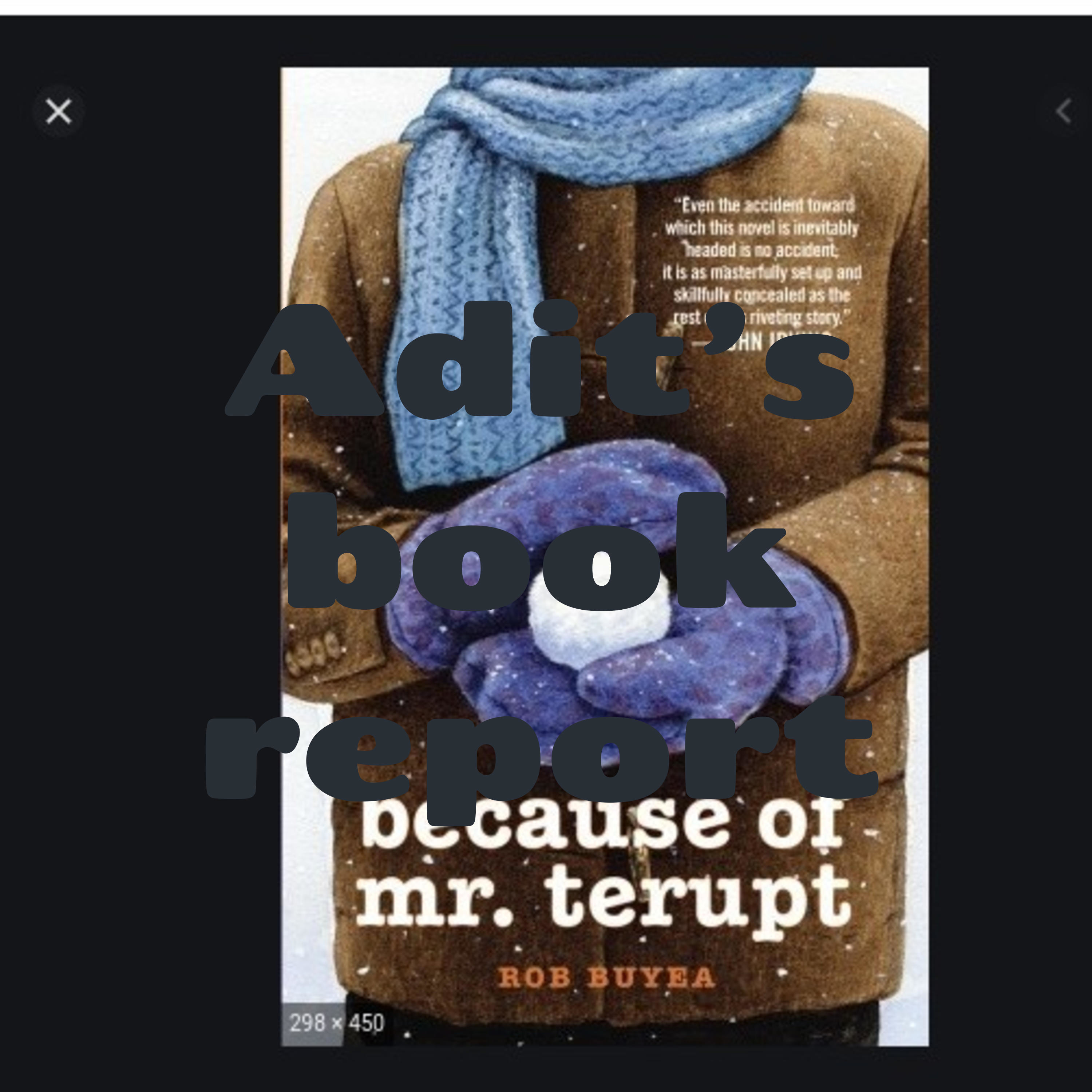 Adit's book report
