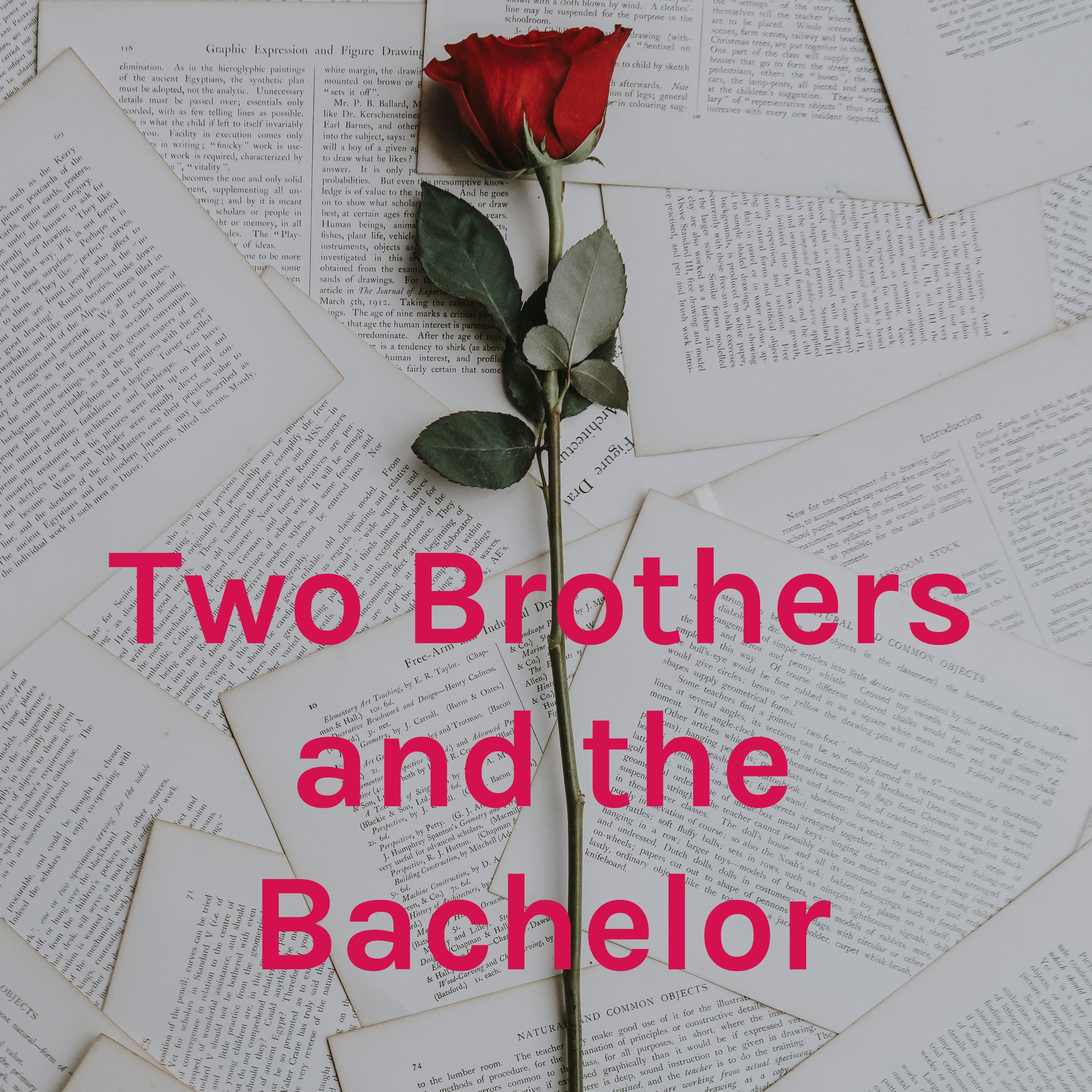 Two Brothers and the Bachelor cover