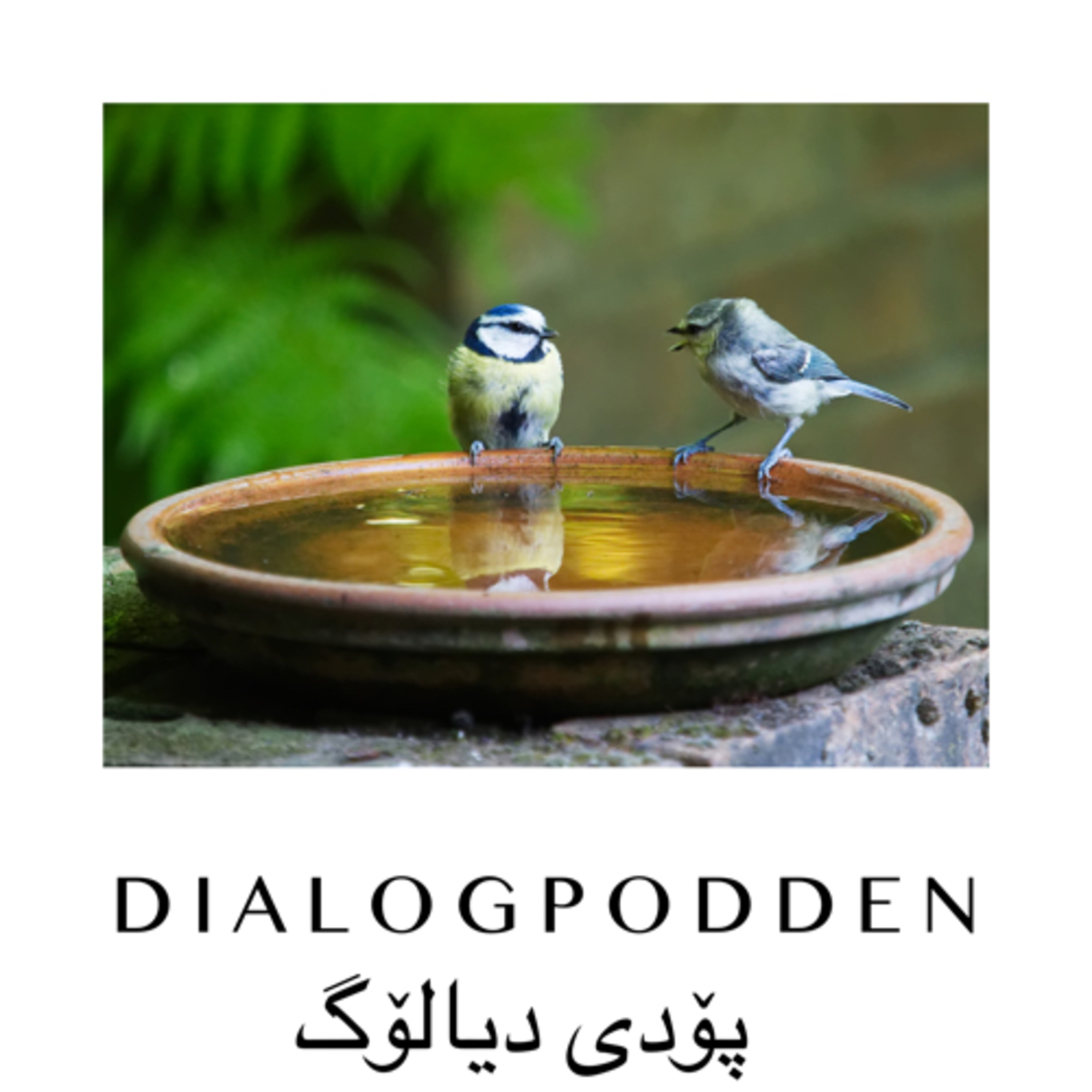 Dialogpodden/پۆدی دیالۆگ