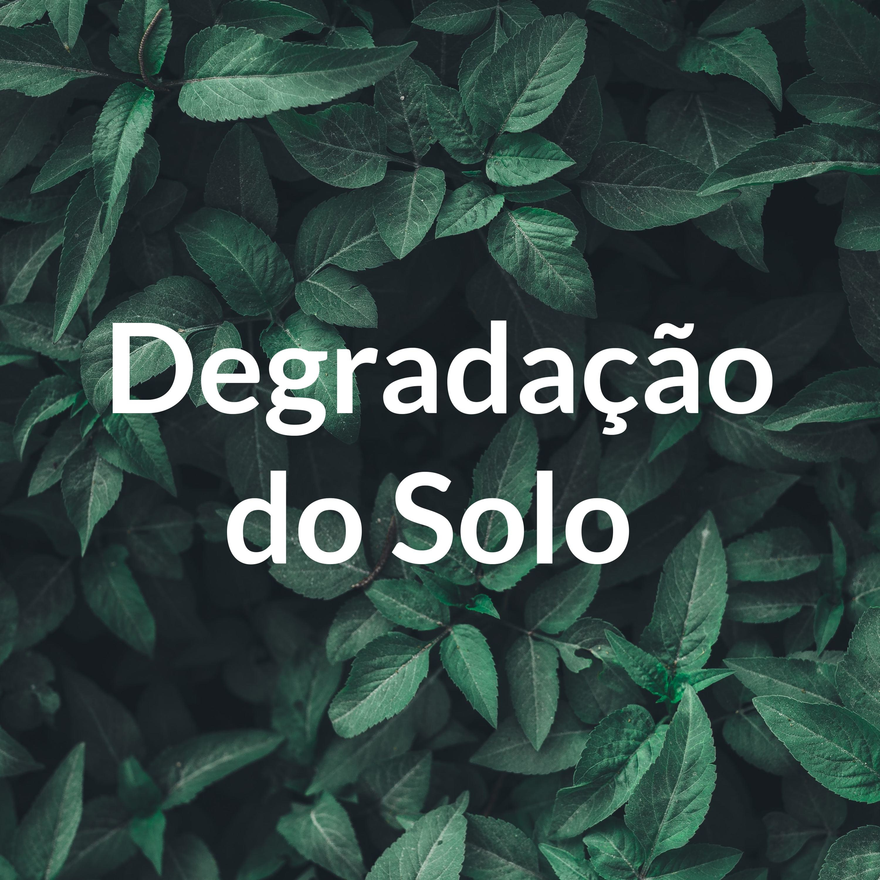 Degradação do Solo 
