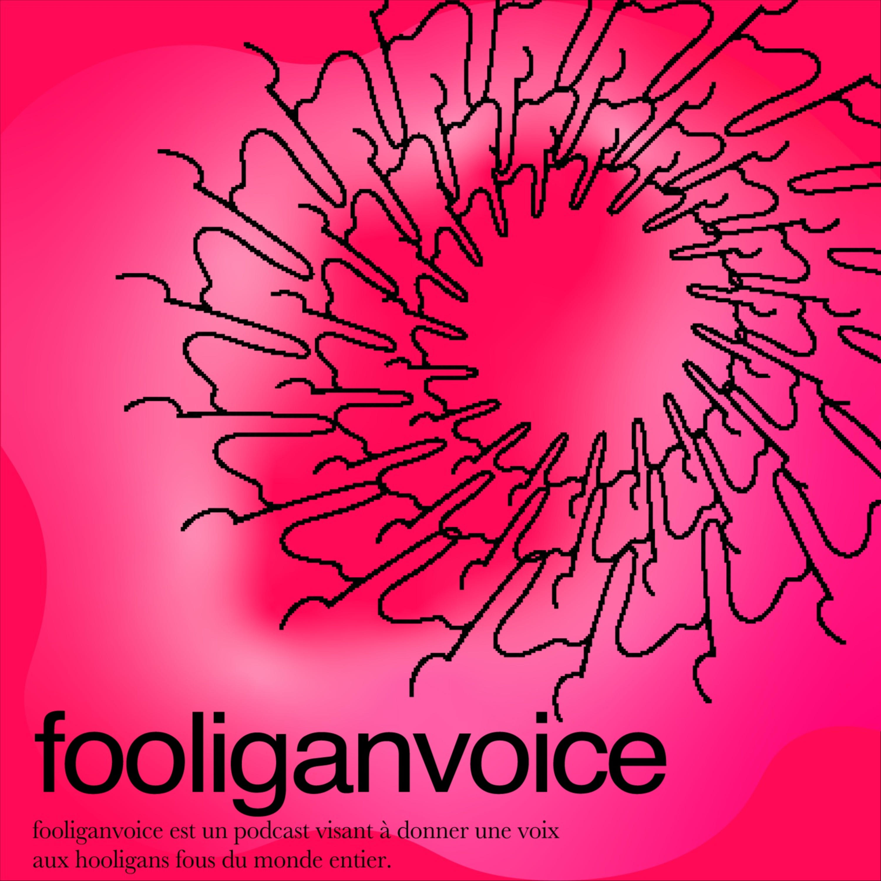 fooliganvoice