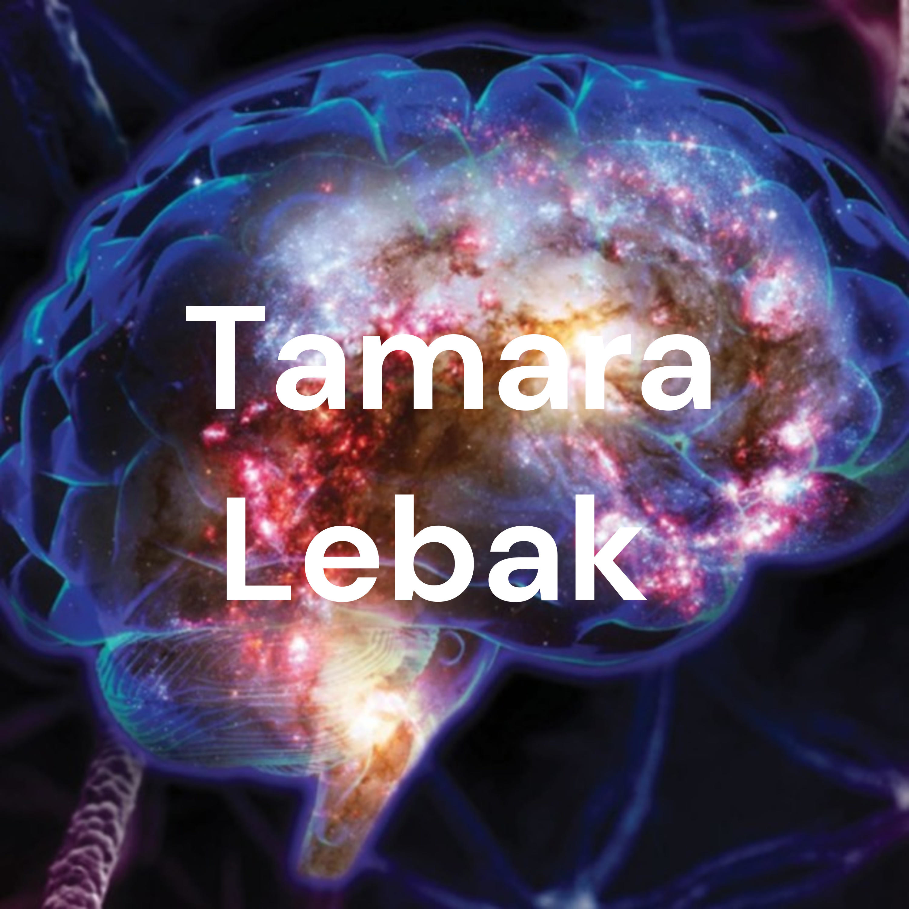 Decolonize - Culturally Responsive Systems Leadership by Tamara Lebak