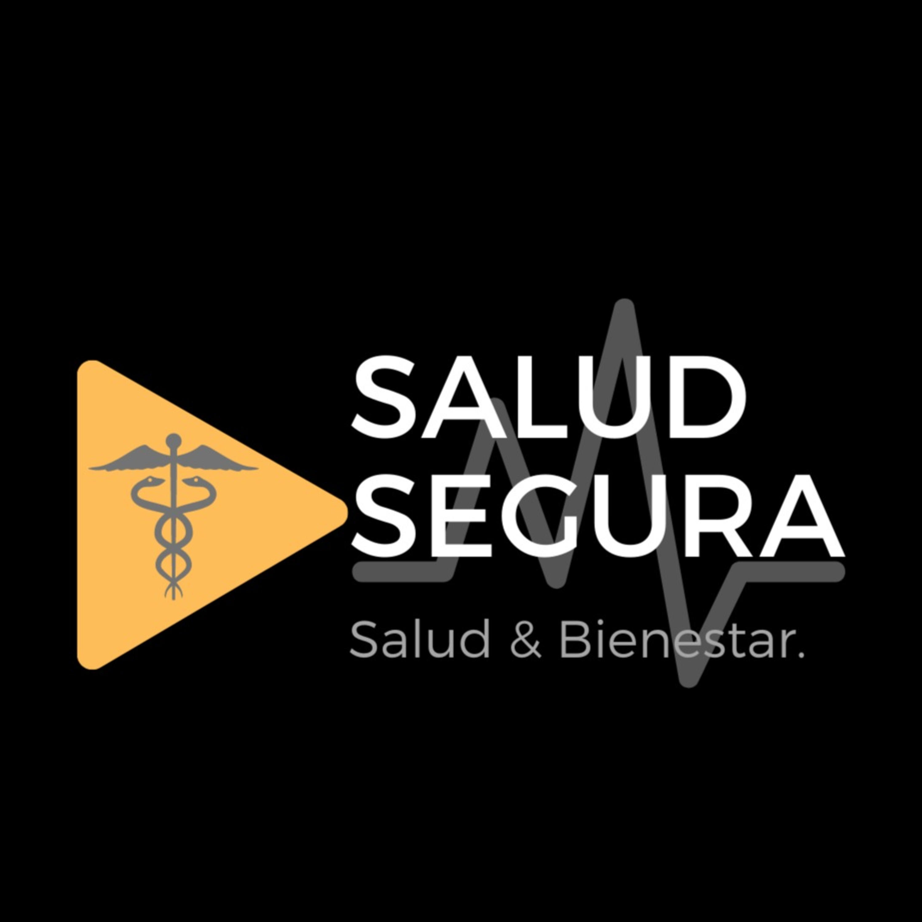 Salud Segura