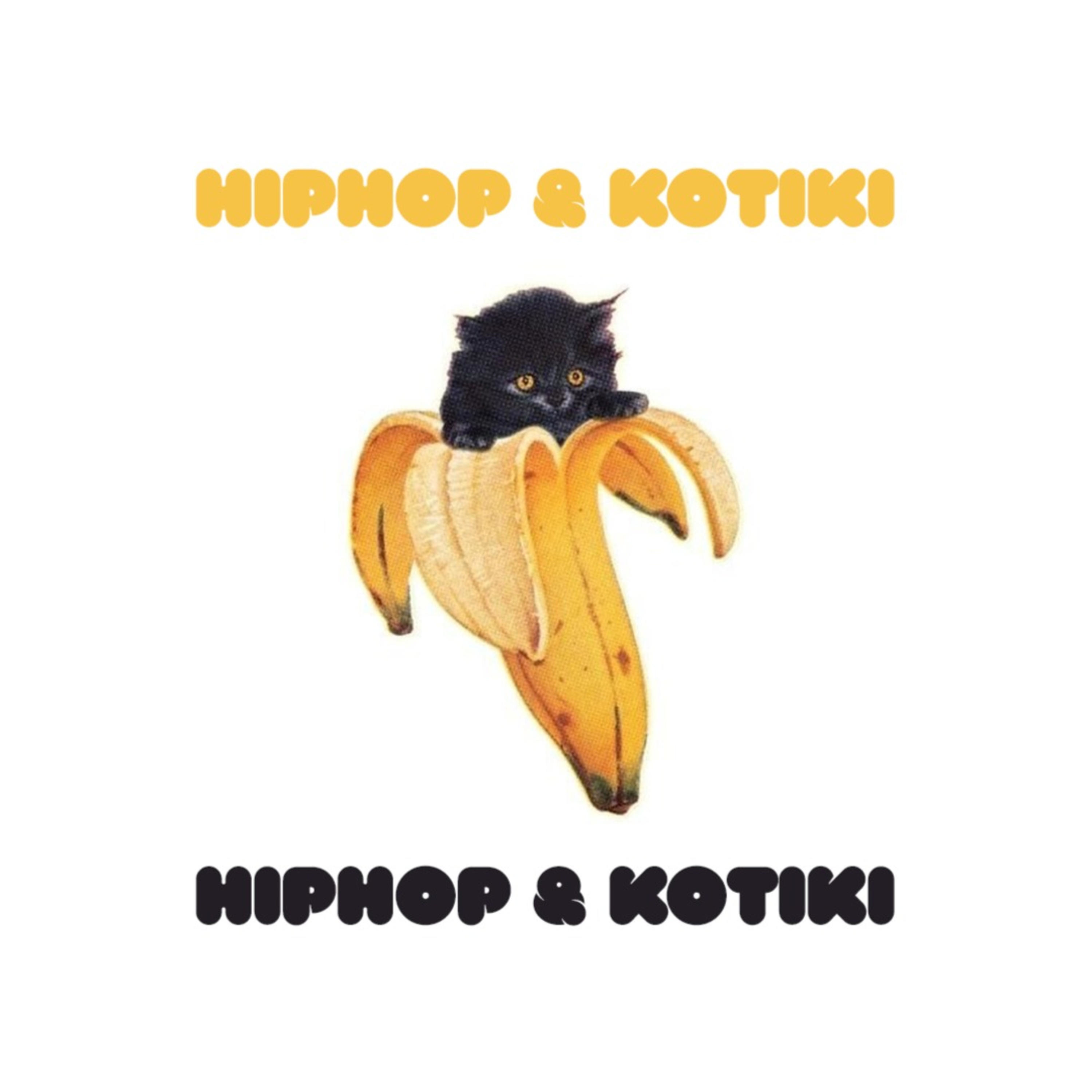 1 серия. новые Котики