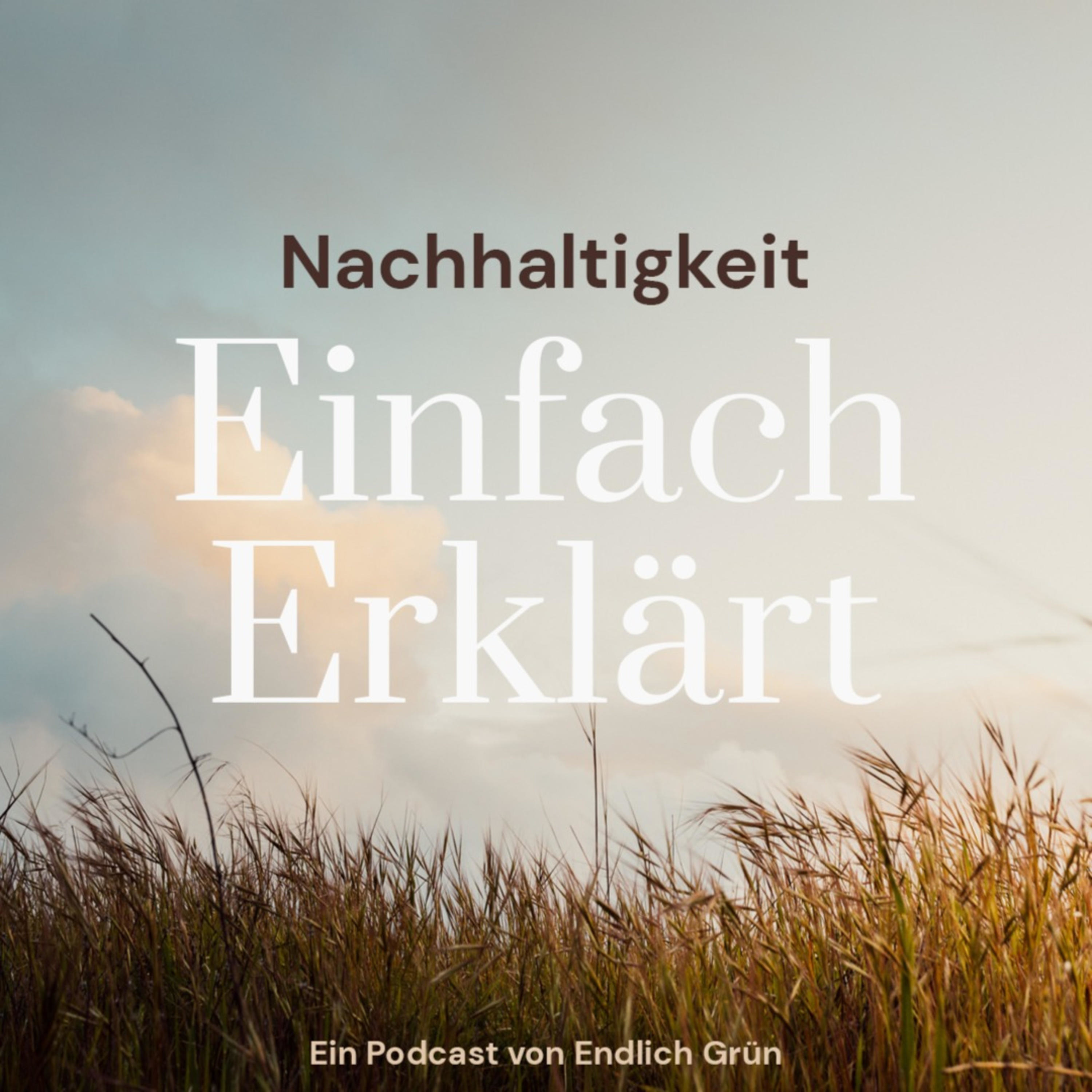 Nachhaltigkeit - Einfach Erklärt 