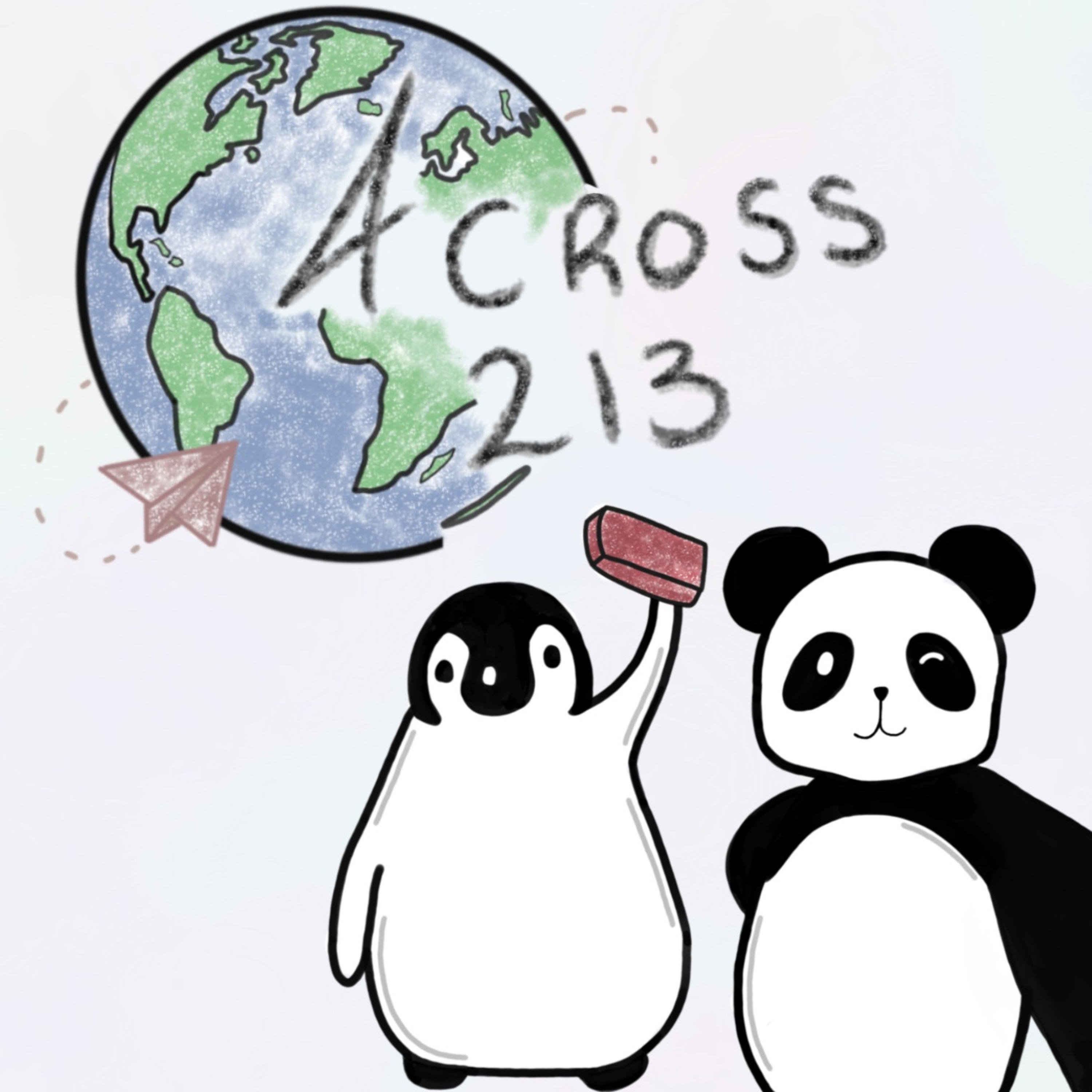 ACROSS 213