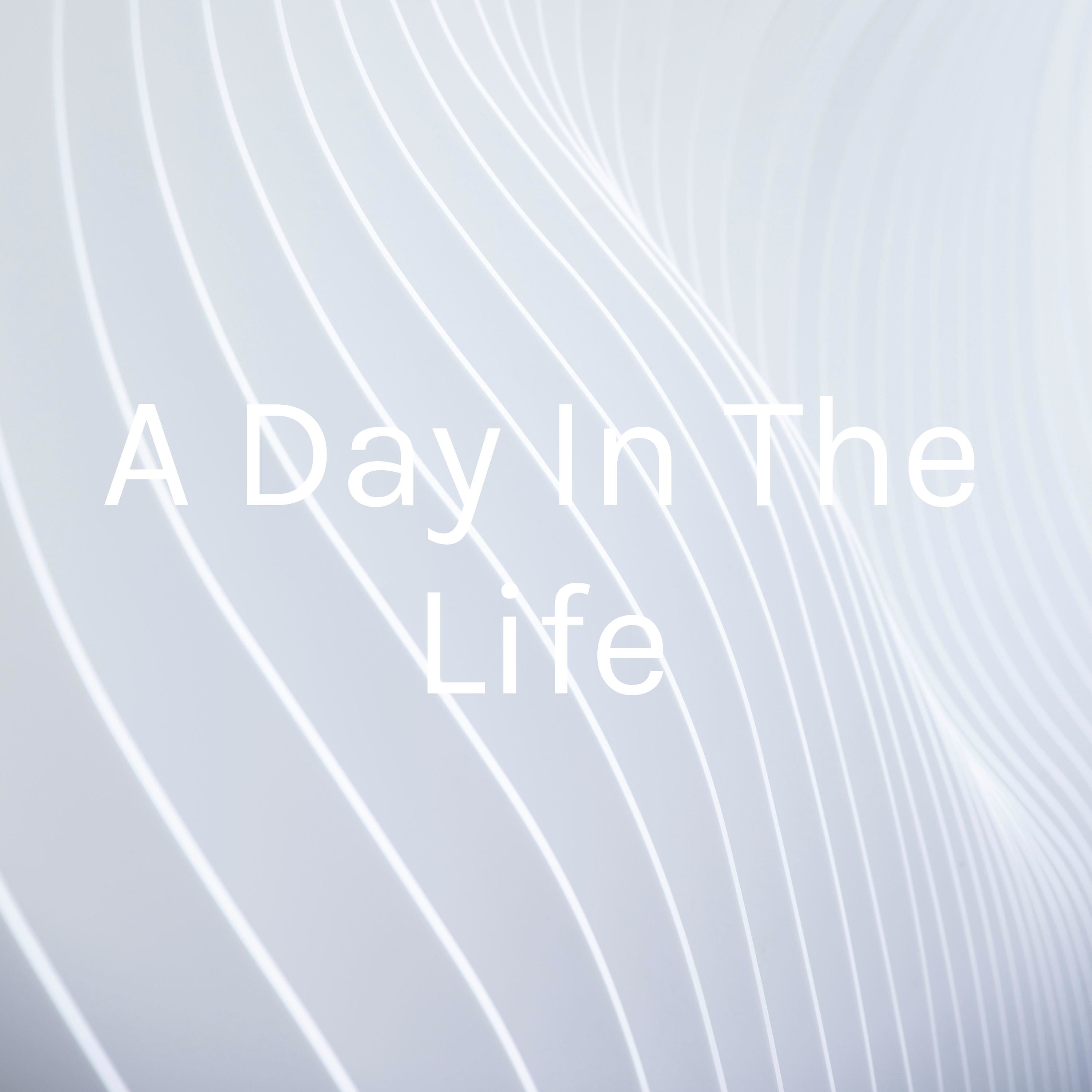 A Day In The Life