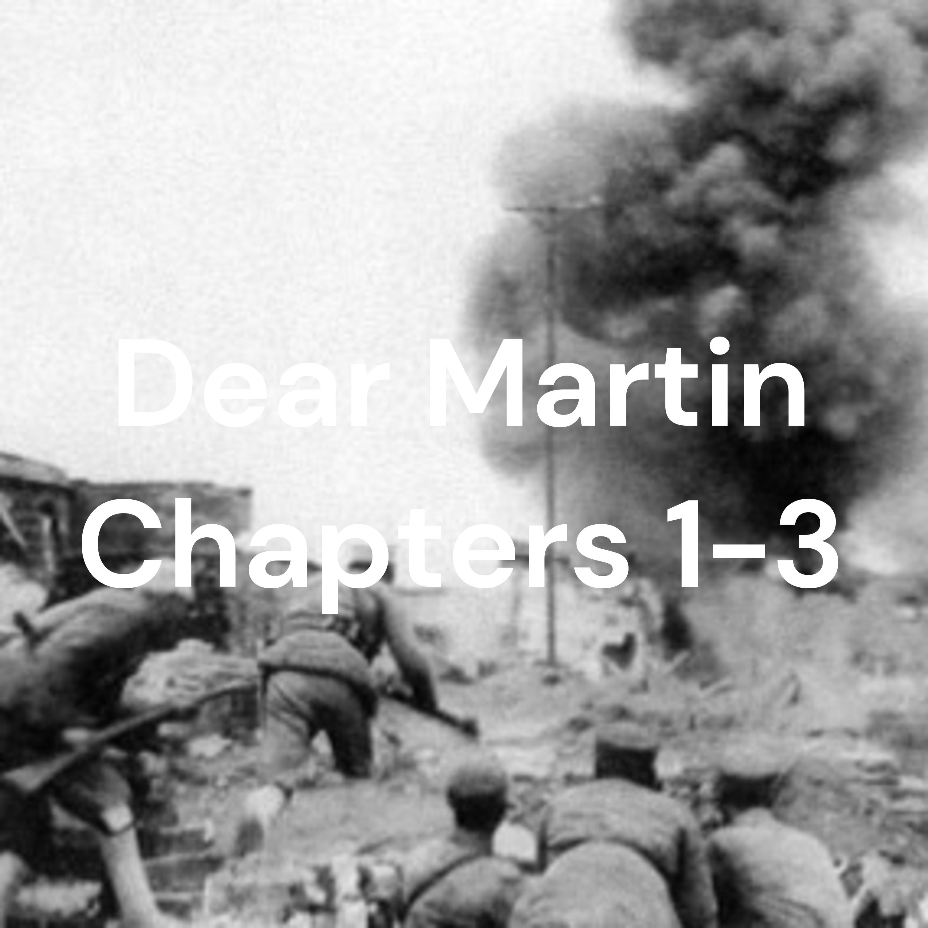 Dear Martin Chapters 1-3