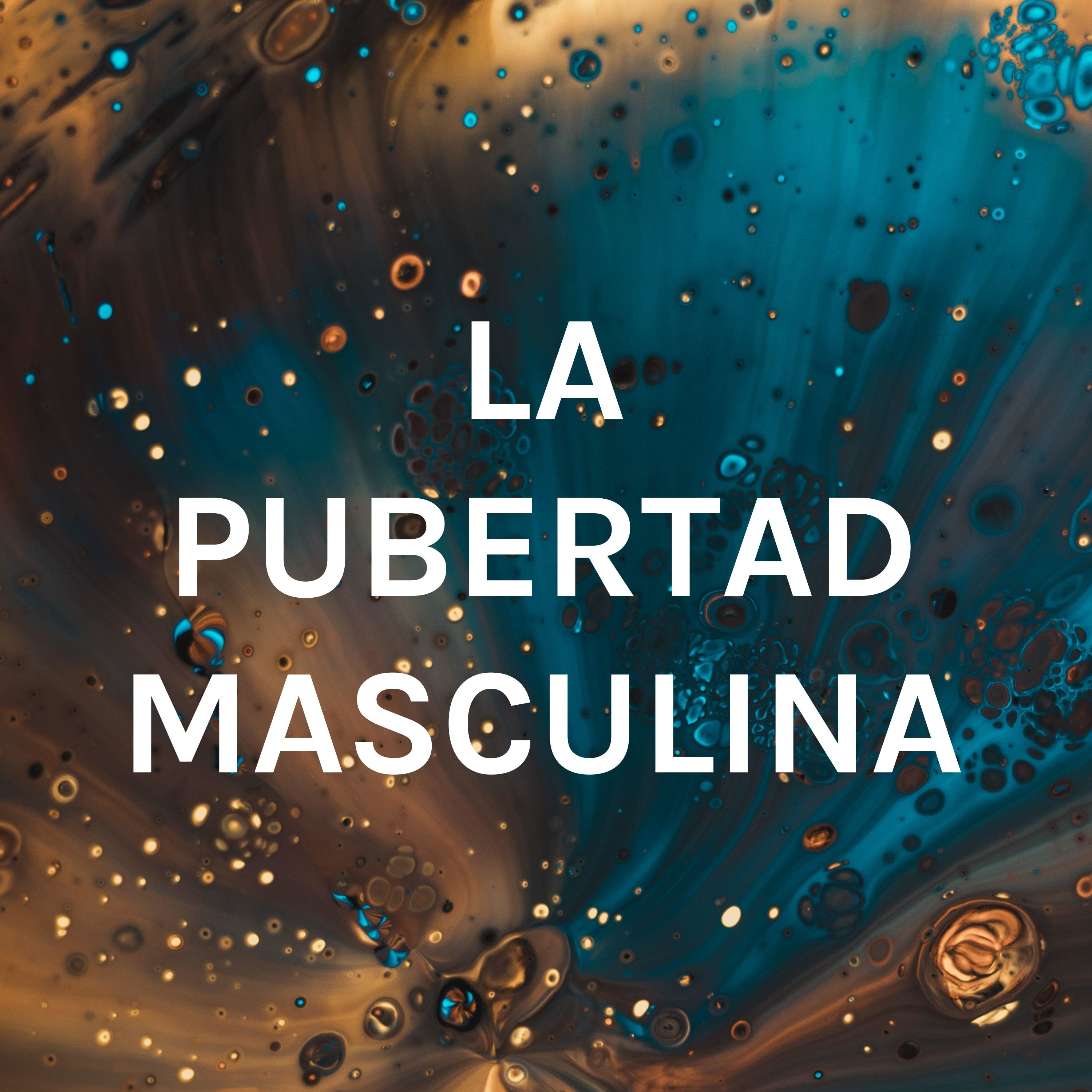 LA PUBERTAD MASCULINA