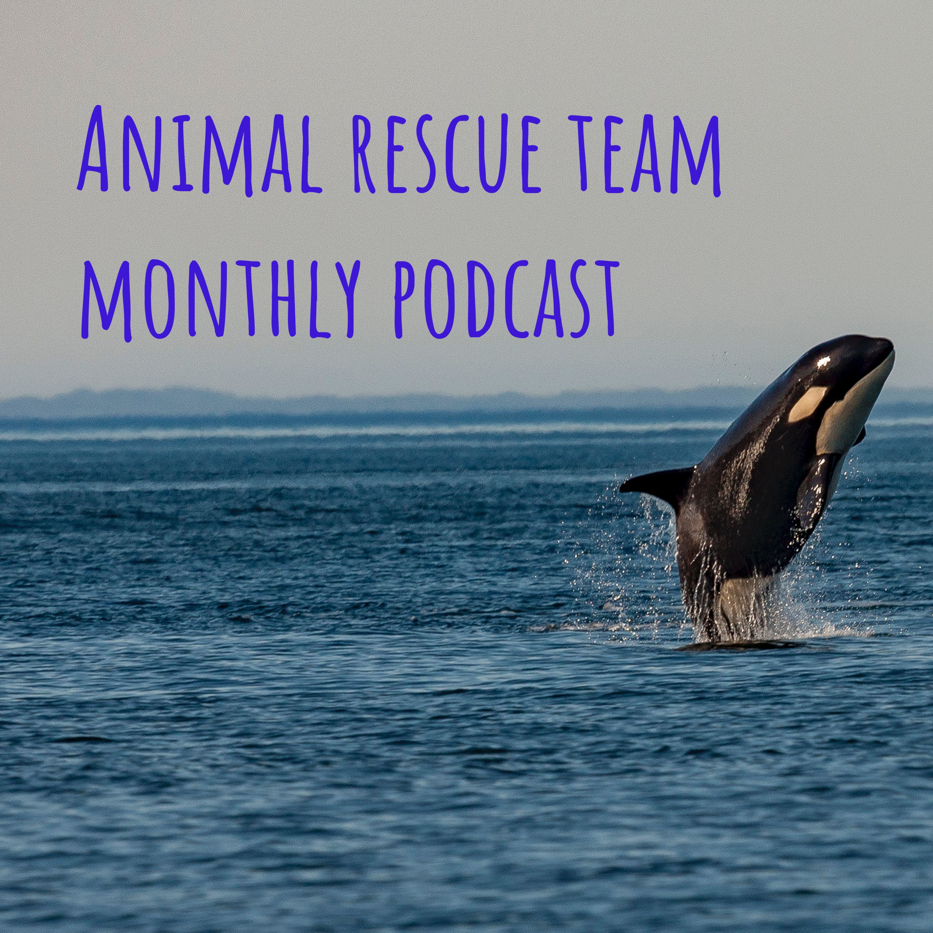 Animal rescue team monthly podcast 