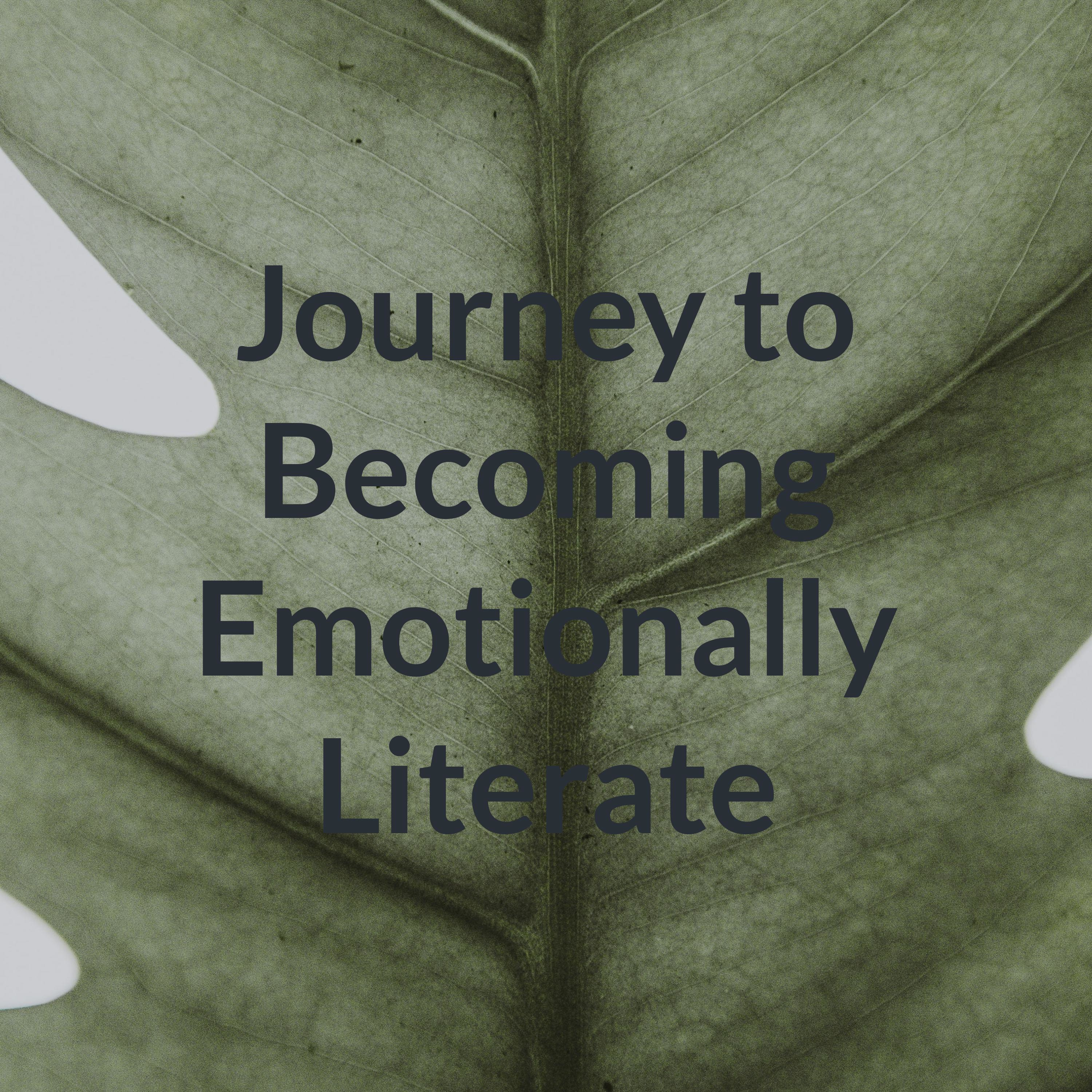 Becoming Emotionally Literate