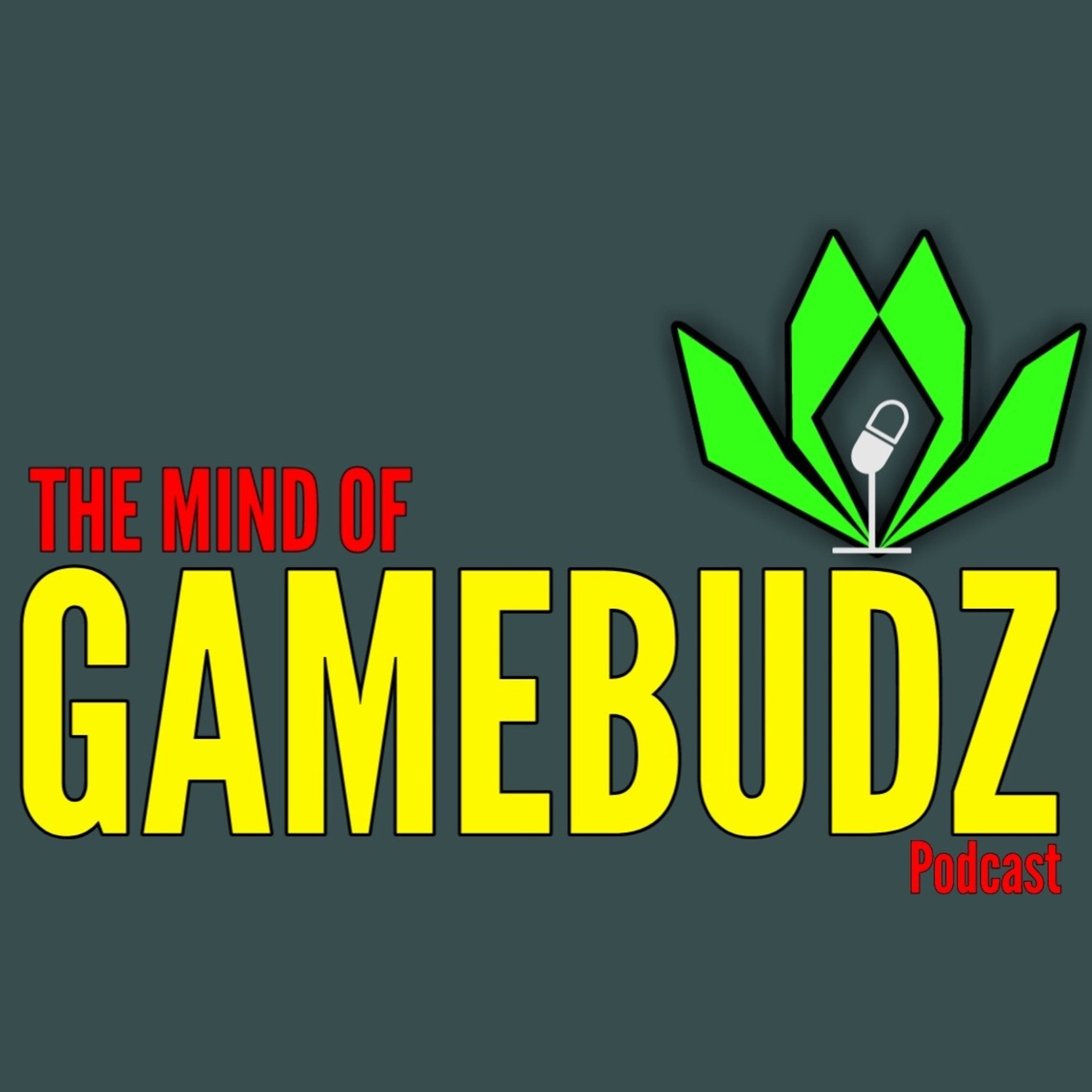 The Mind Of GAMEBUDZ