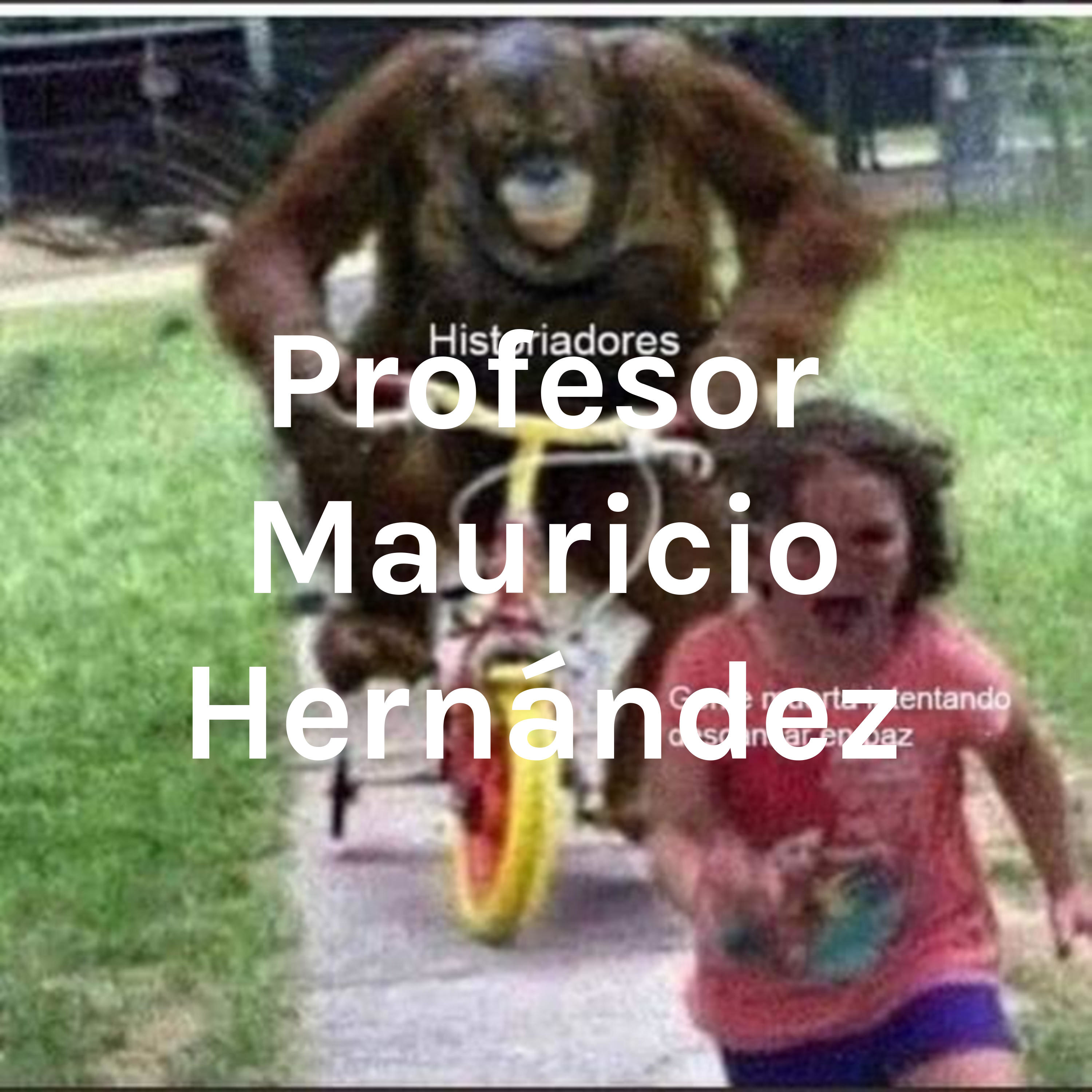 Profesor Mauricio Hernández