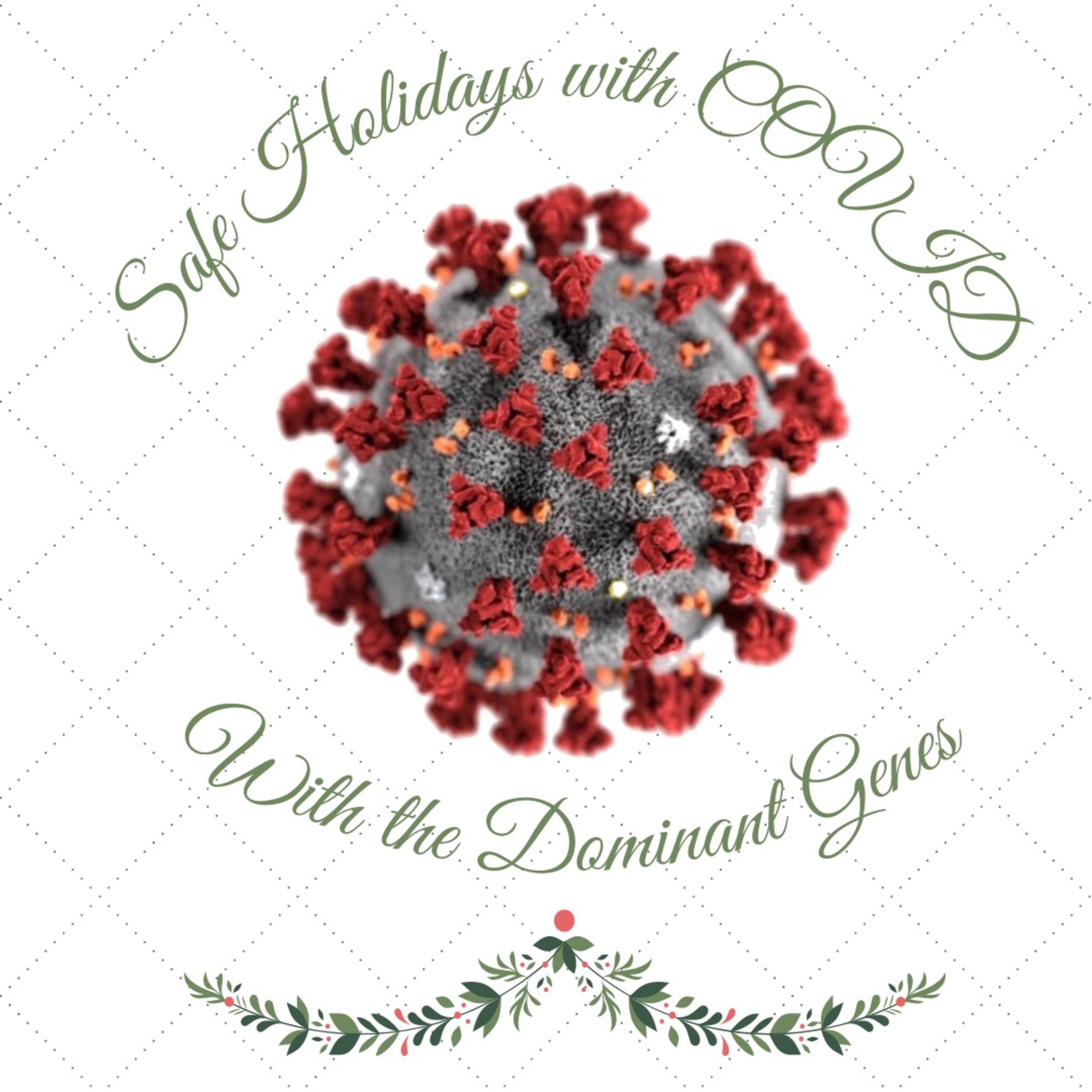 Have a Safe COVID Holiday