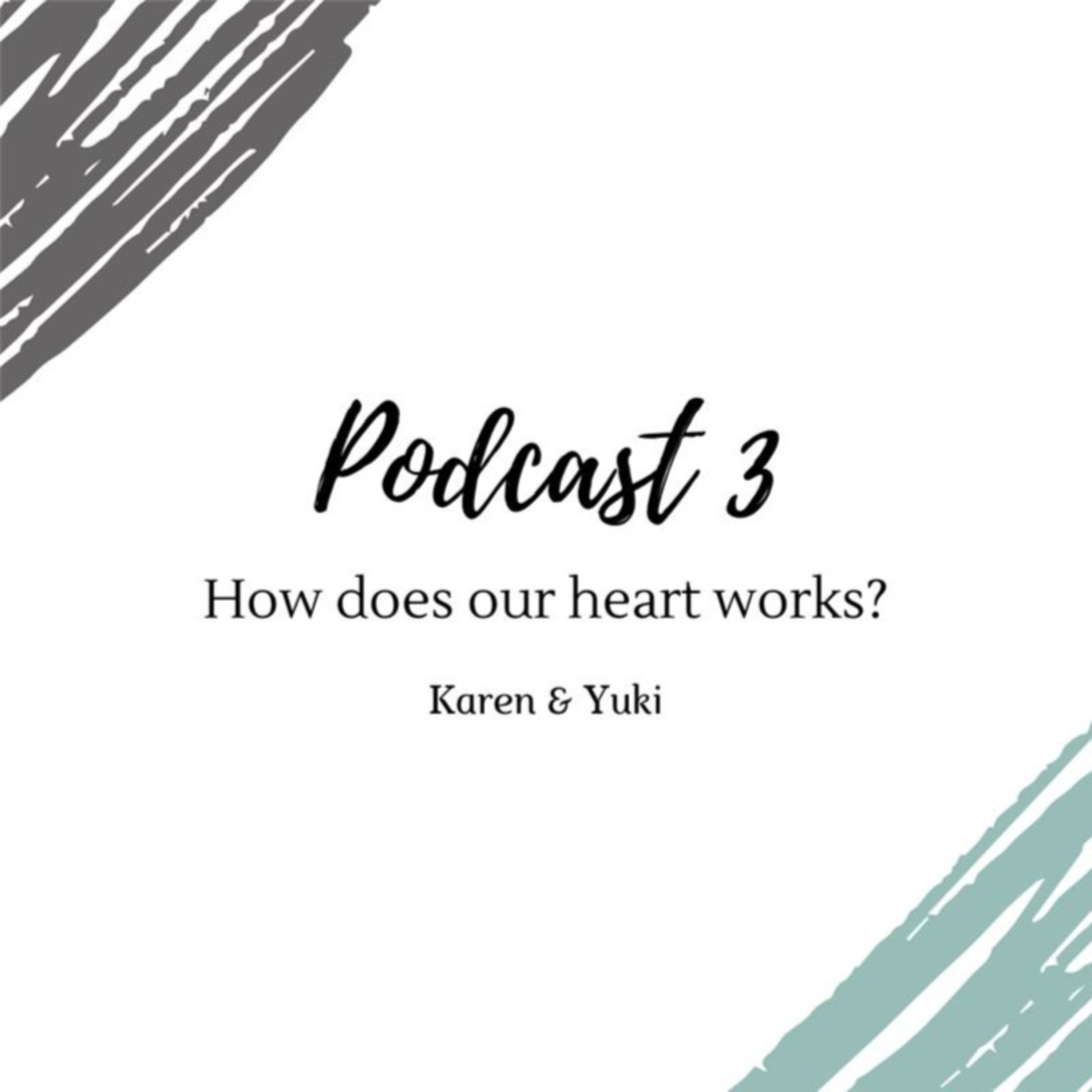 How does our heart works?