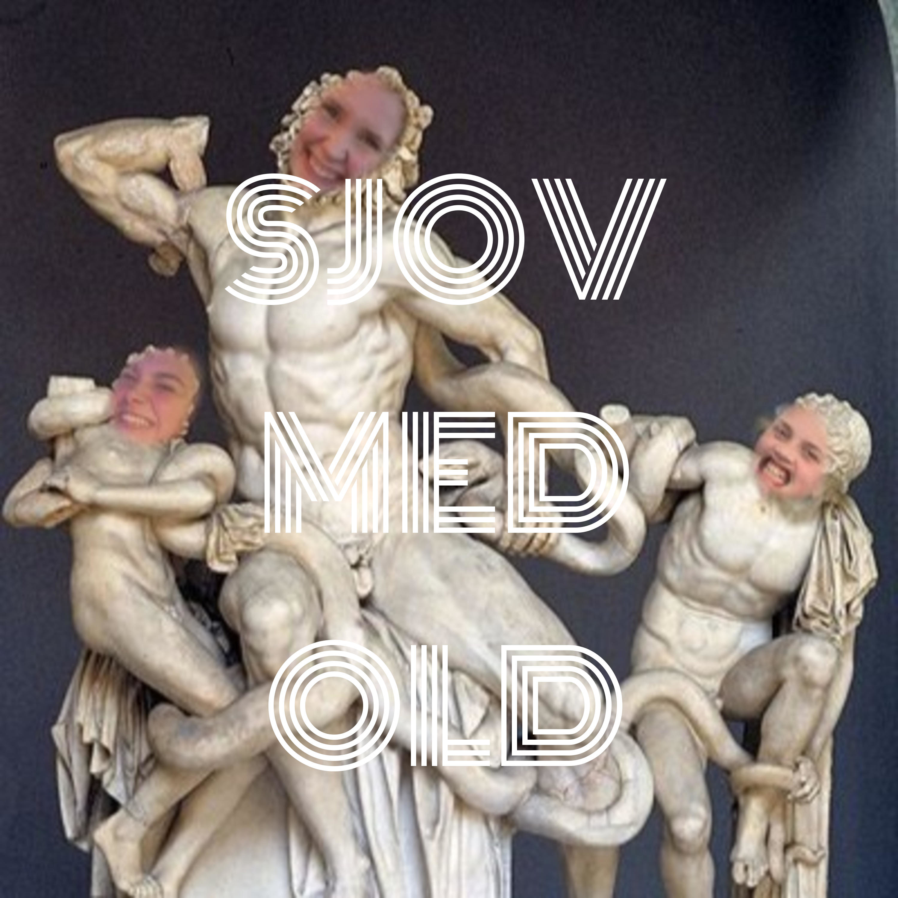 SJOV MED OLD af Signe Myrtue Petersen