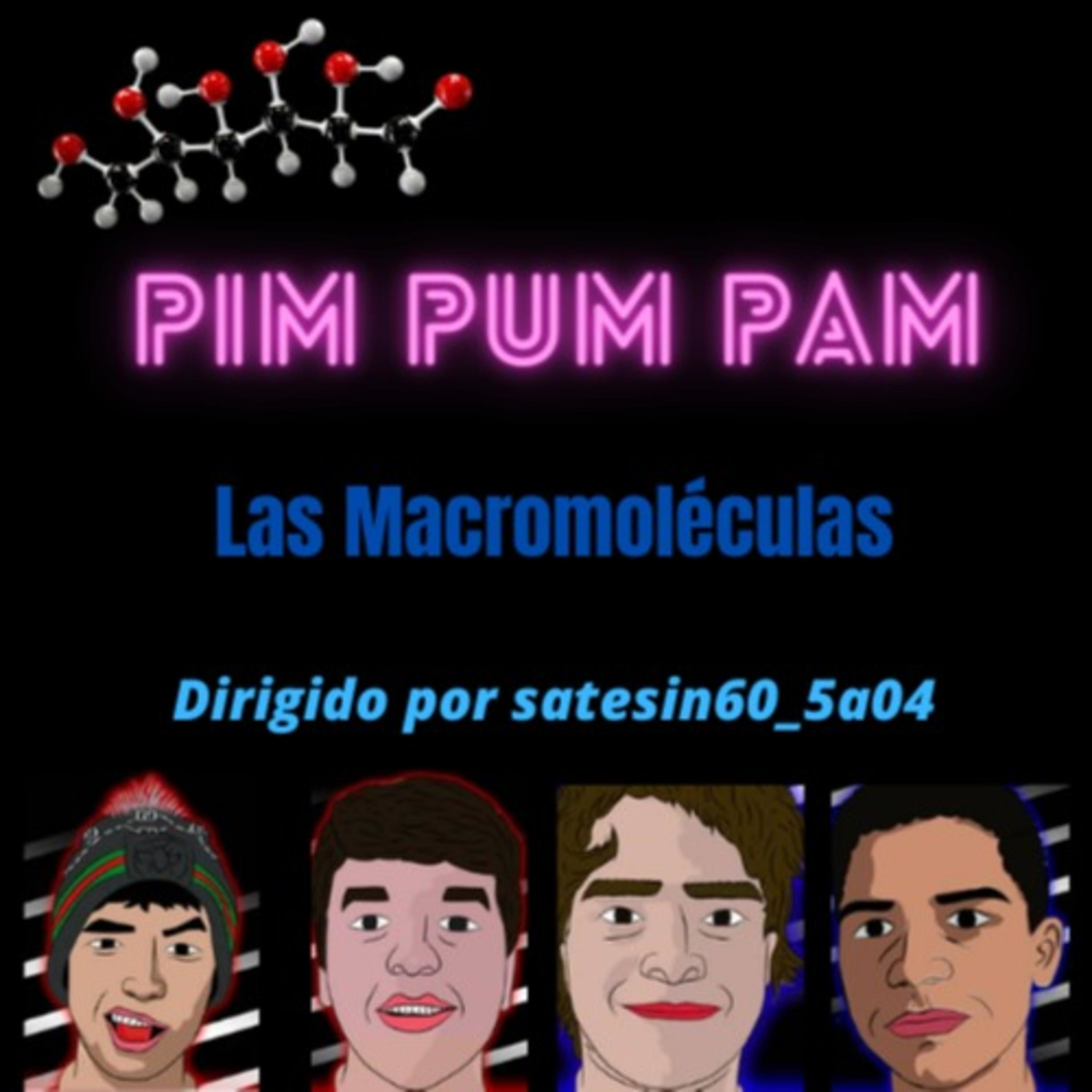 Pim-Pum-Pam Las Macromoléculas (1er Capítulo)
