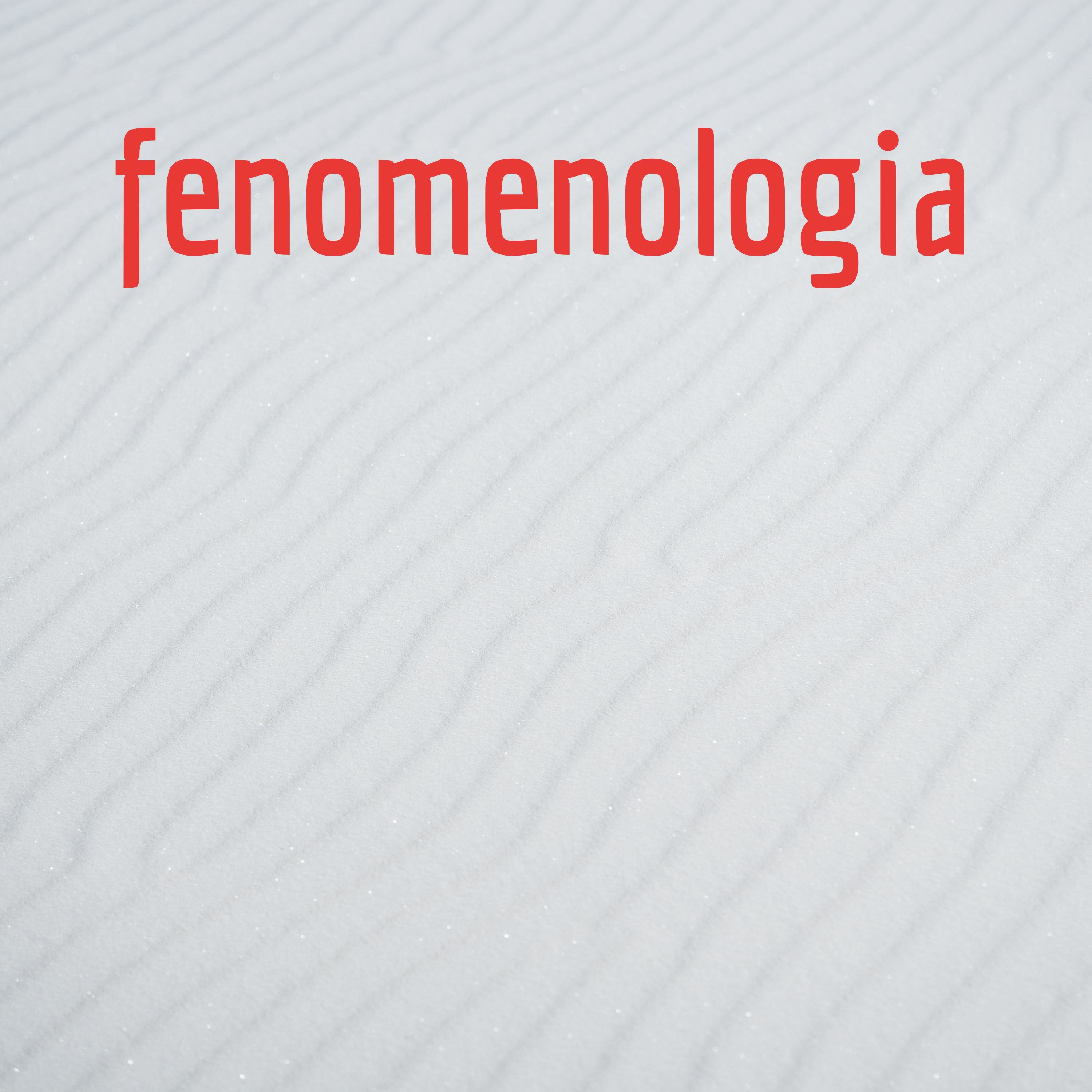 fenomenologia