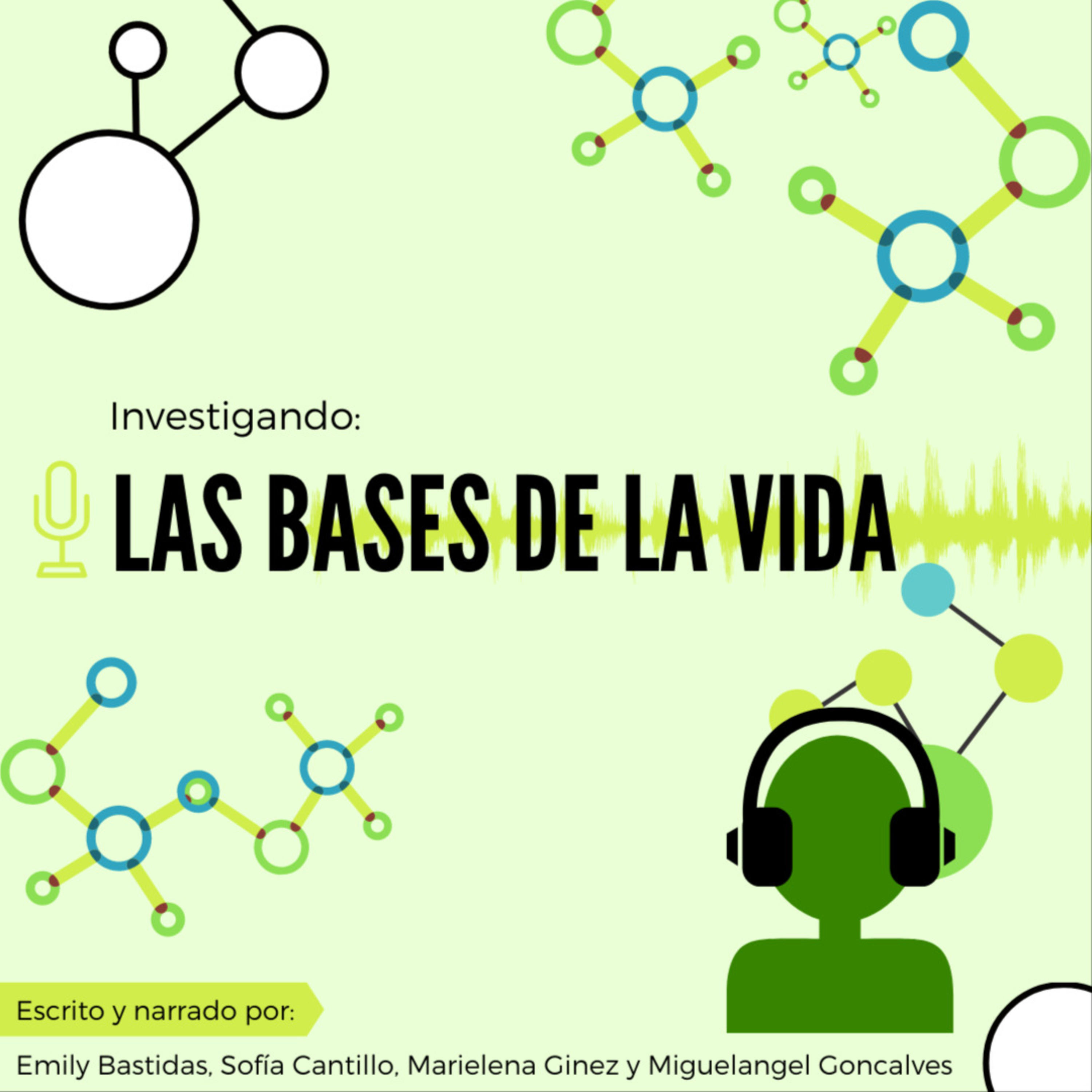 Las Bases de la Vida podcast artwork