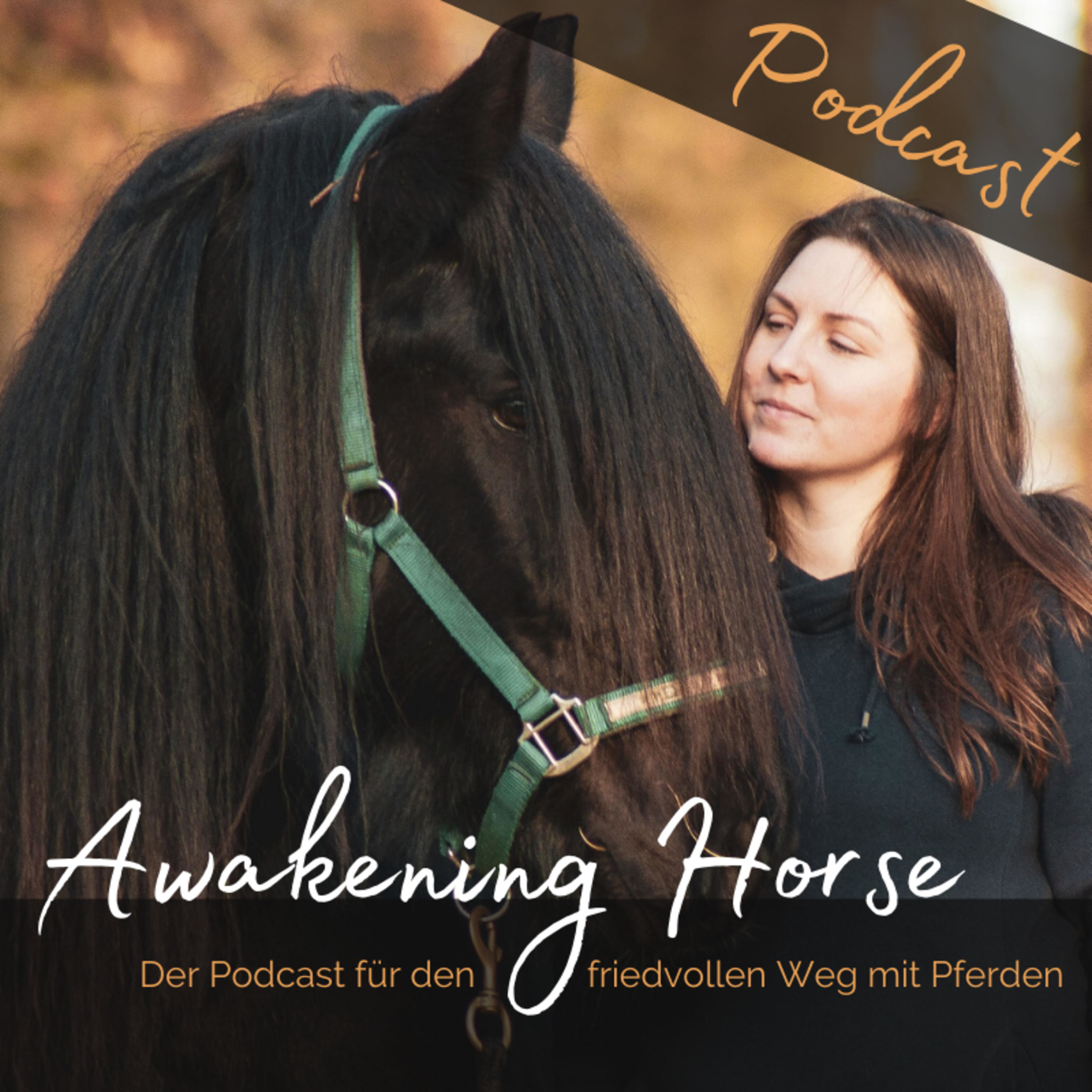VOICE OF THE EMPOWERED HORSE | a new way of living with horses