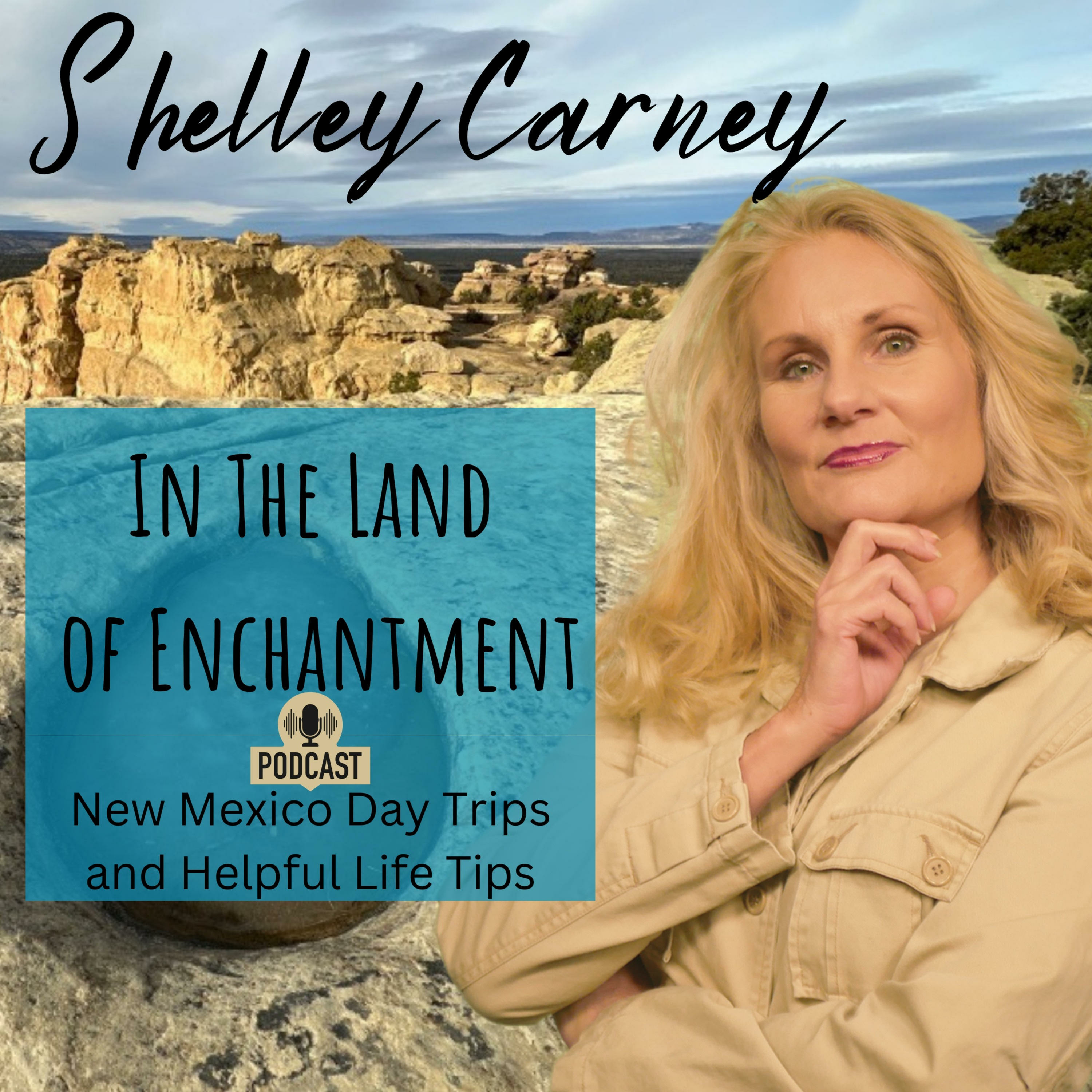 Shelley Carney In The Land of Enchantment cover