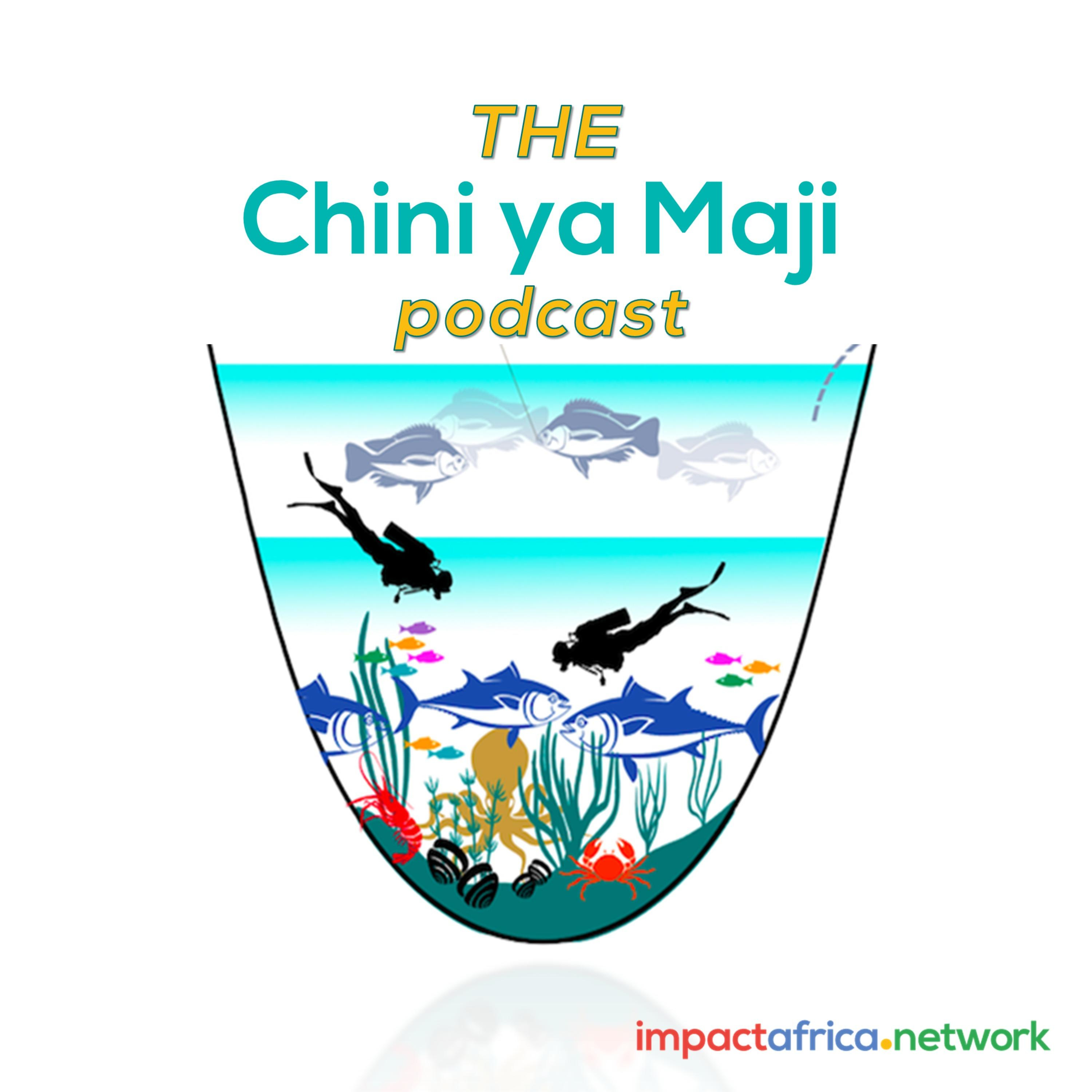 Chini ya Maji Media