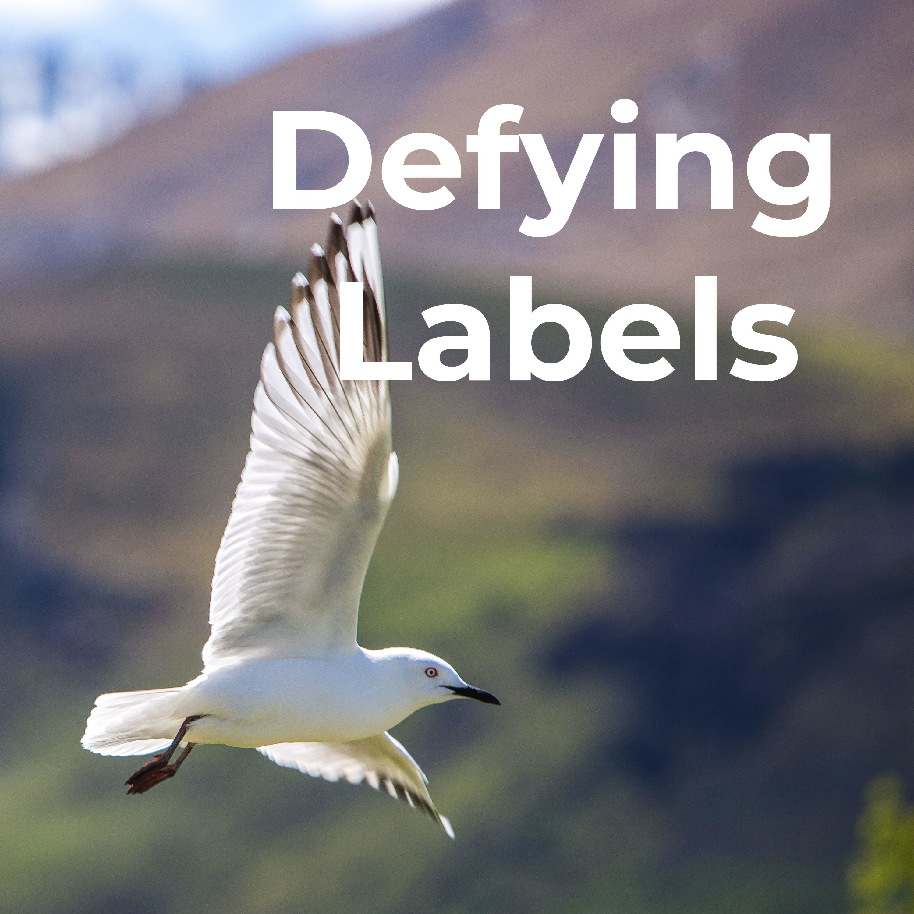 Defying Labels 
