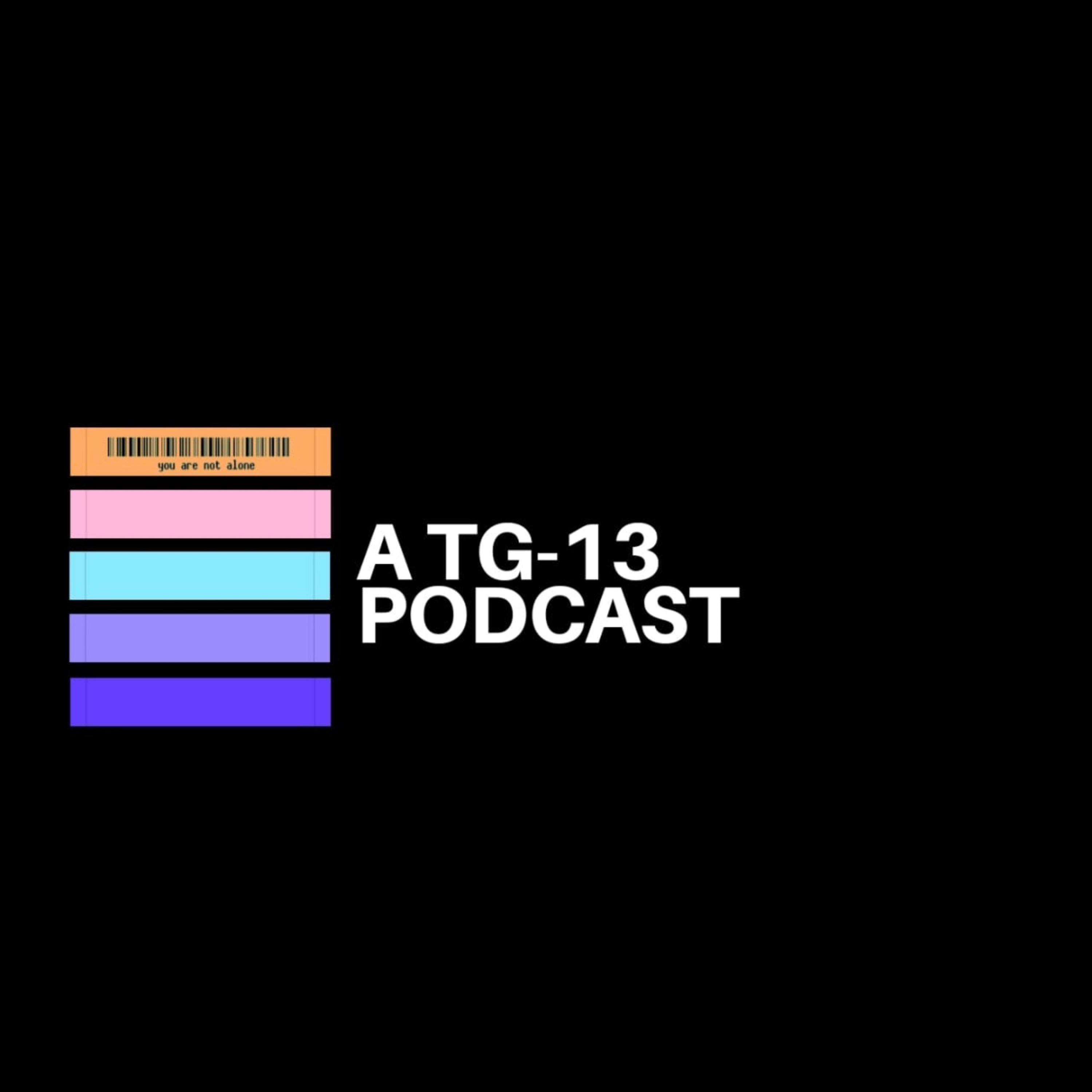 Ep. 8 : Media Manipulation/ LGBTQ+ Inclusivity/ Representation