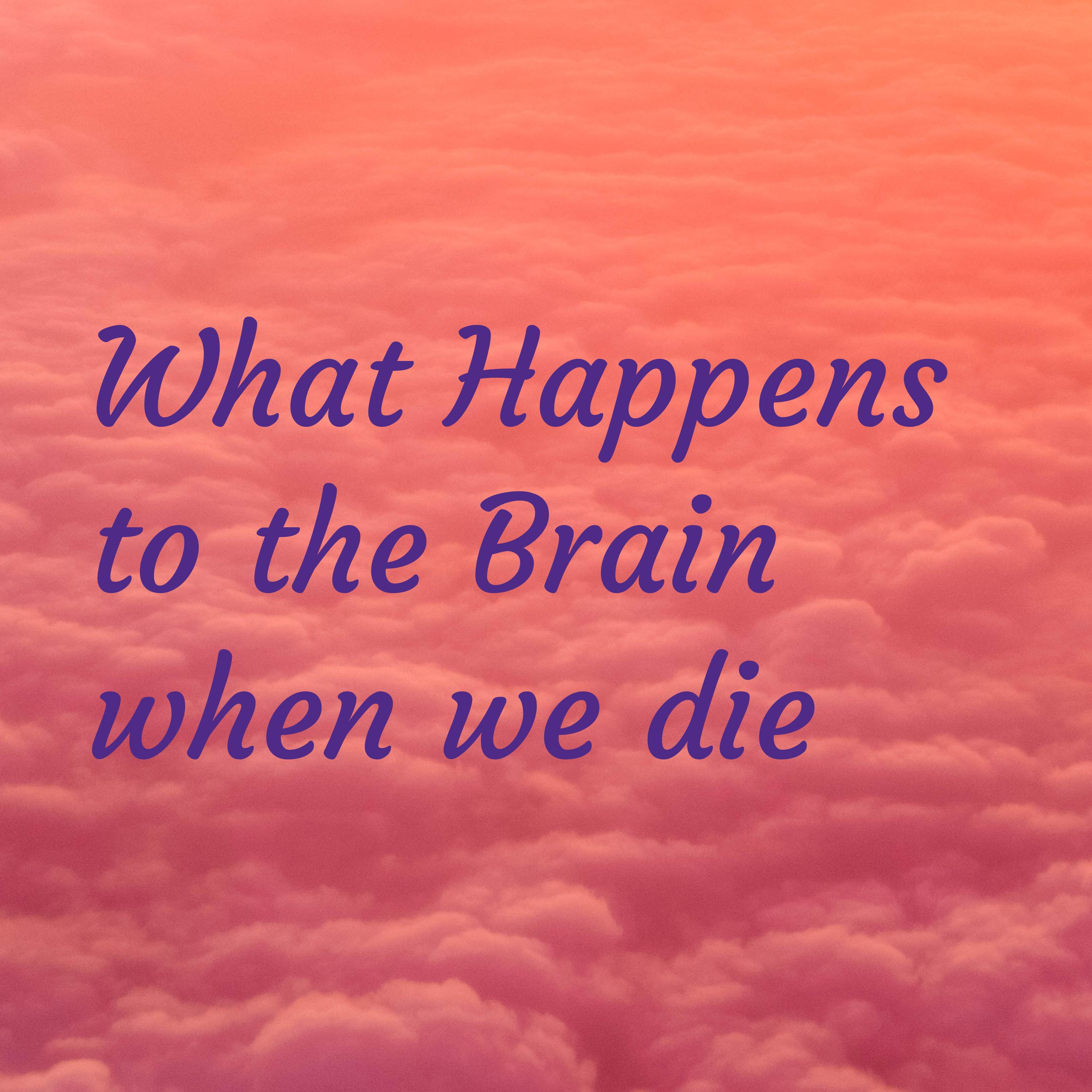 What Happens to the Brain when we die