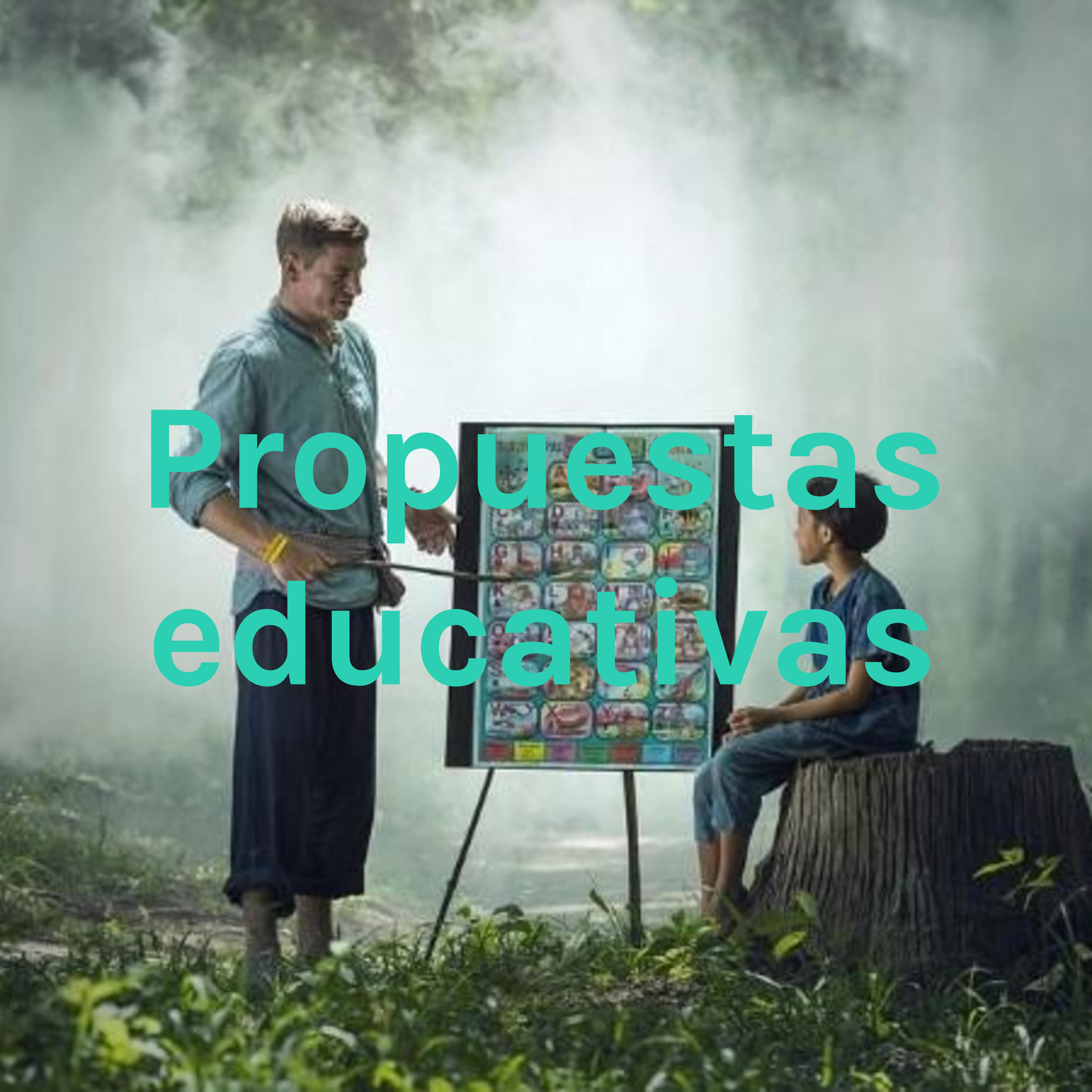 Propuestas educativas