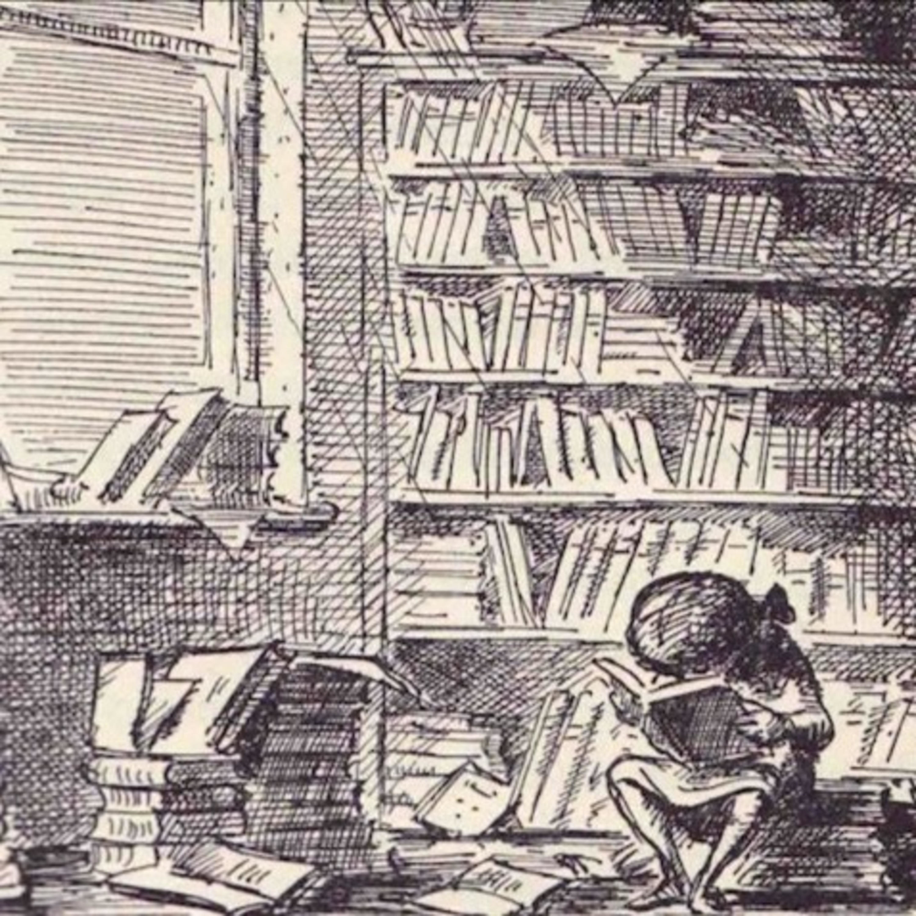 Libros, lecturas y mediadores