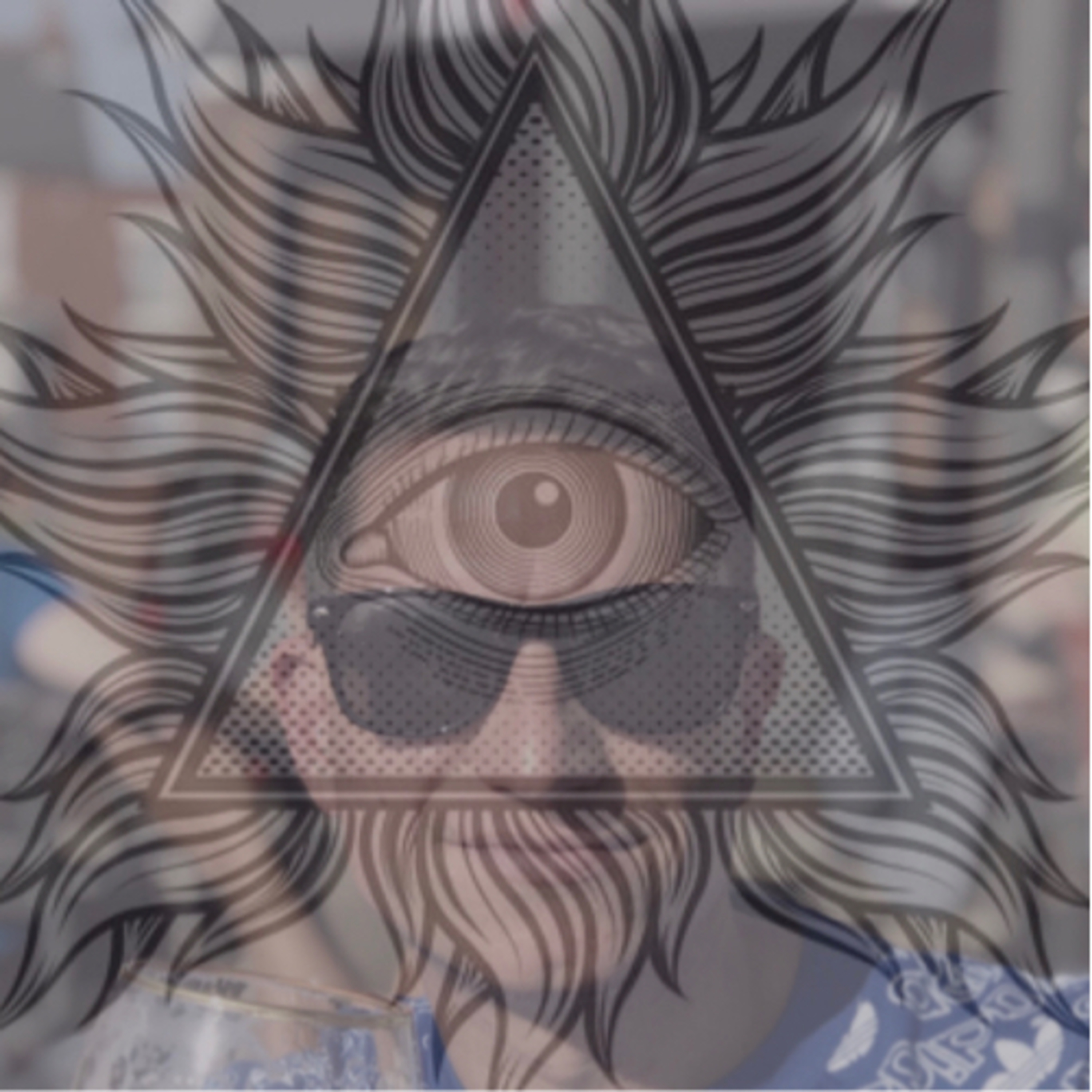 The Roe Jogan Experience