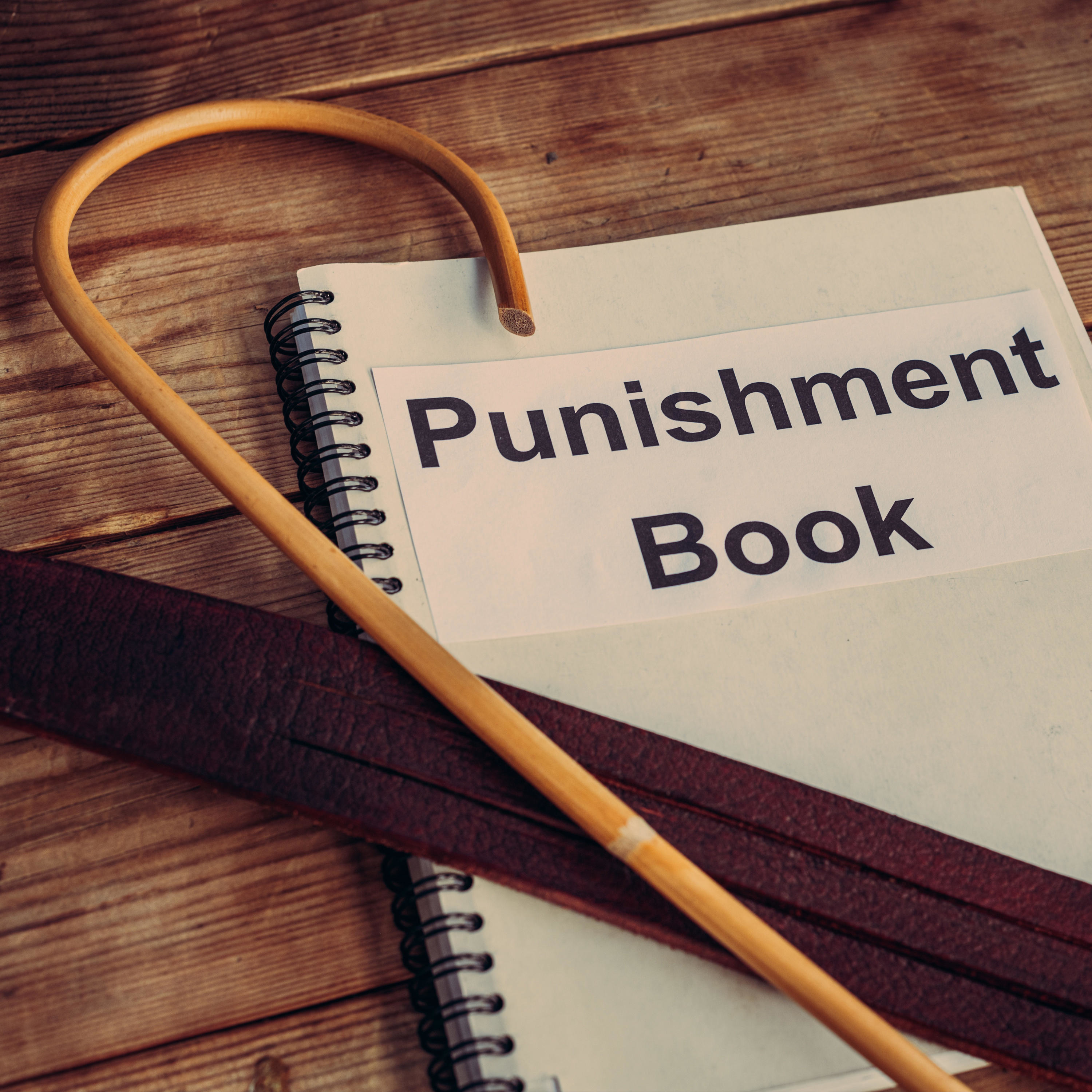 The English Disciplinarian 