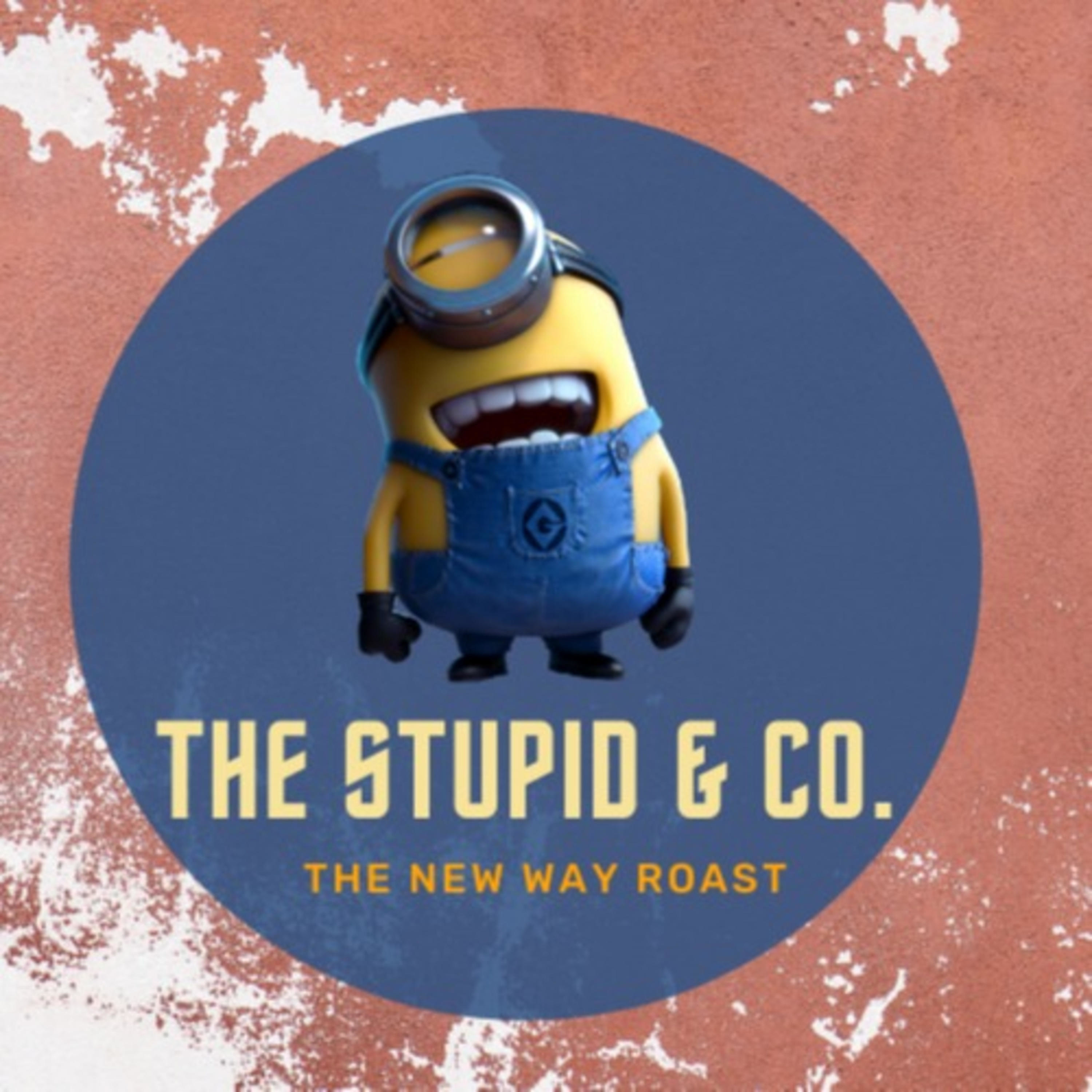The stupid and co. - A Telugu podcast