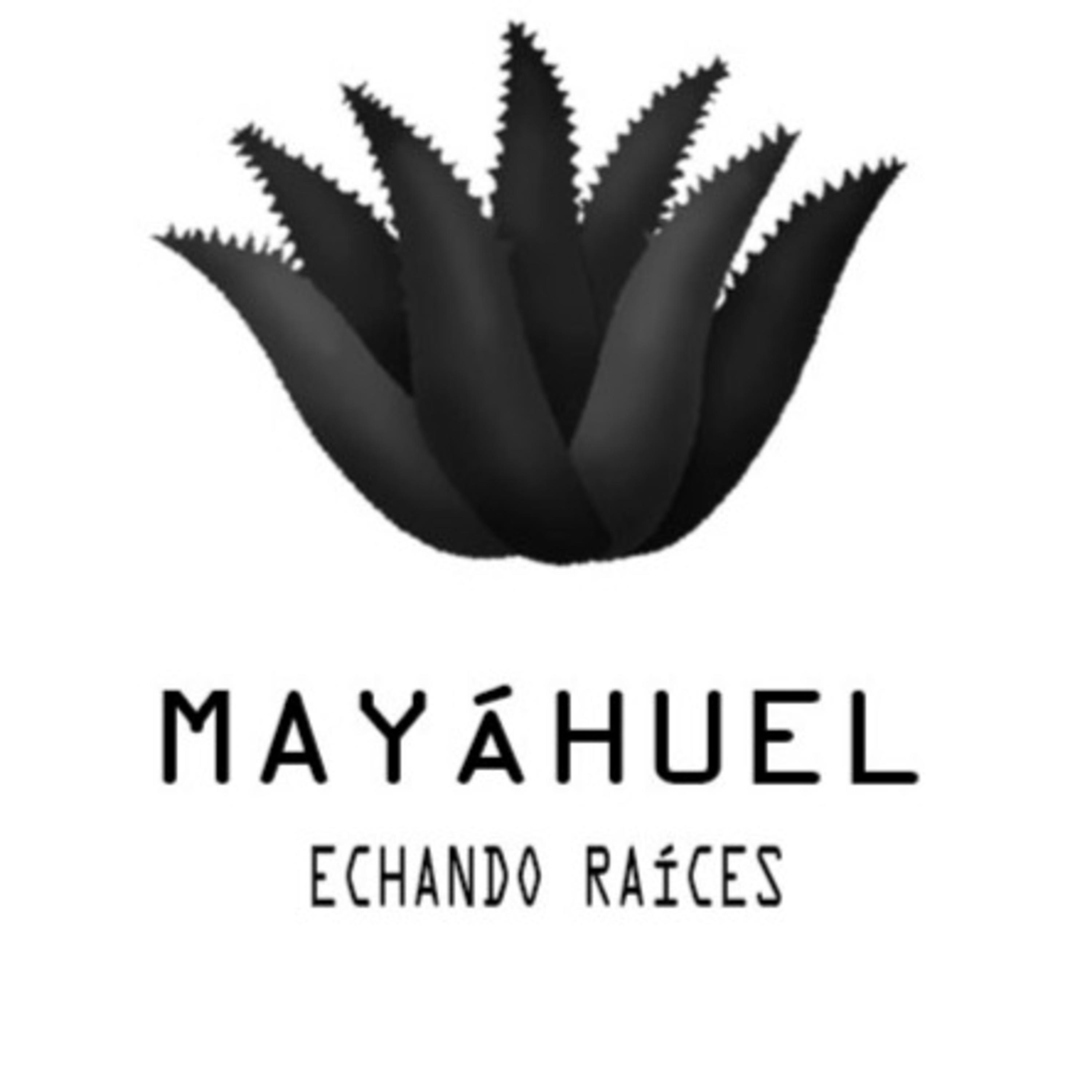 Mayáhuel Echando Raíces