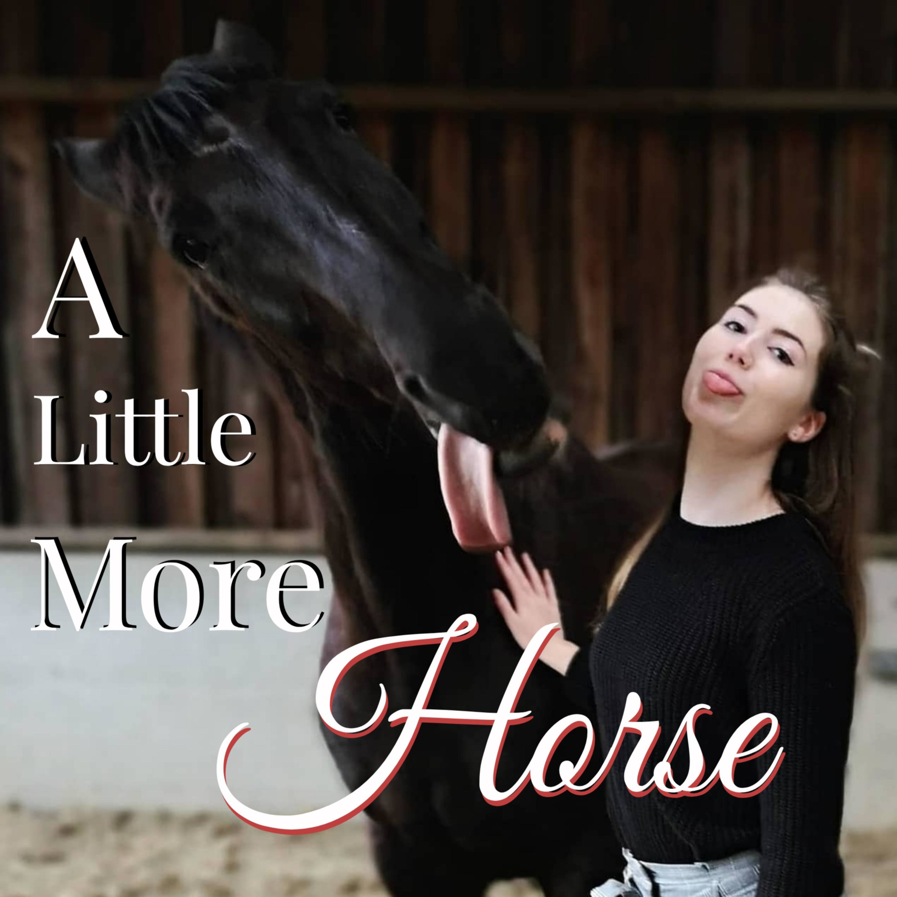 A Little More Horse