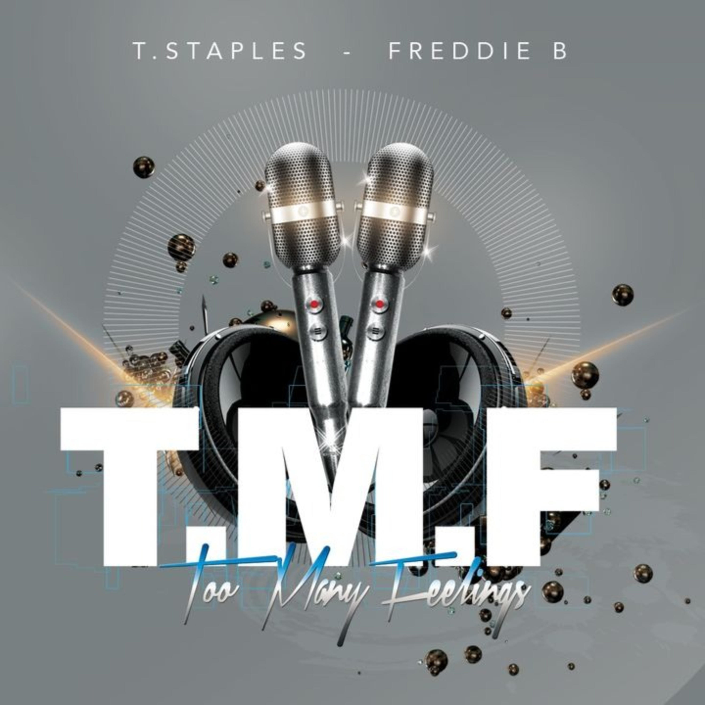 Too Many Feelings (T.M.F.)