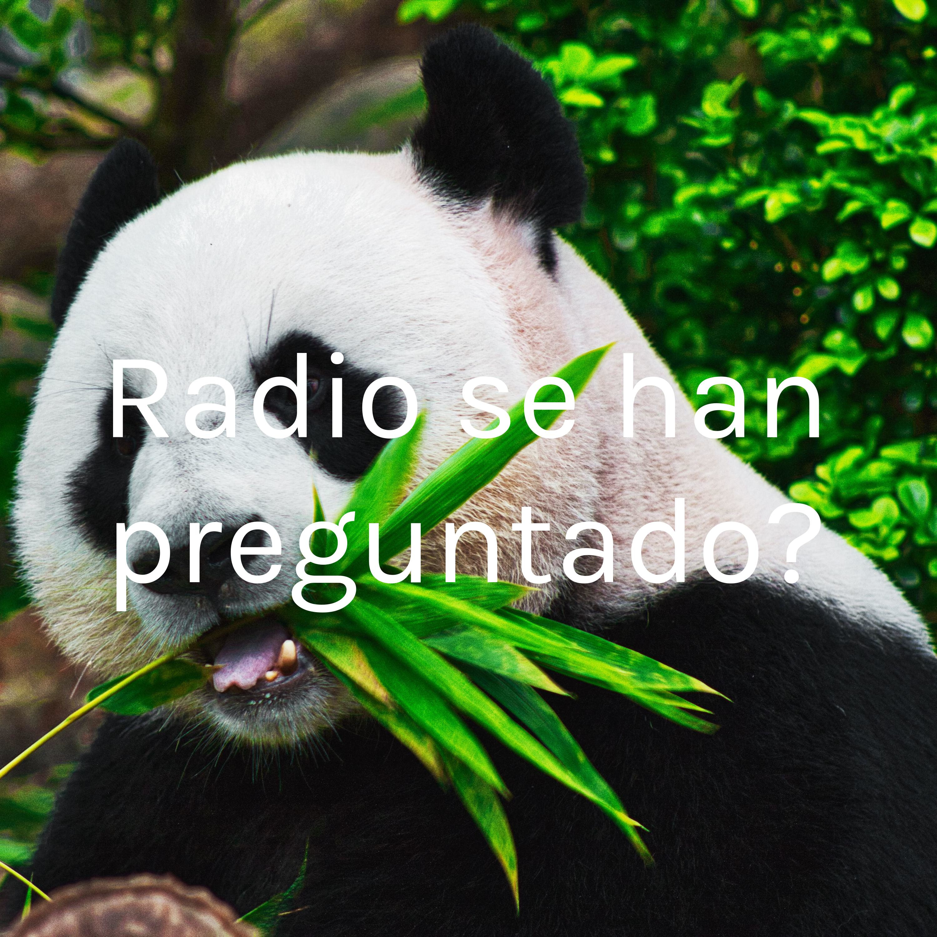 Radio ¿se han preguntado?