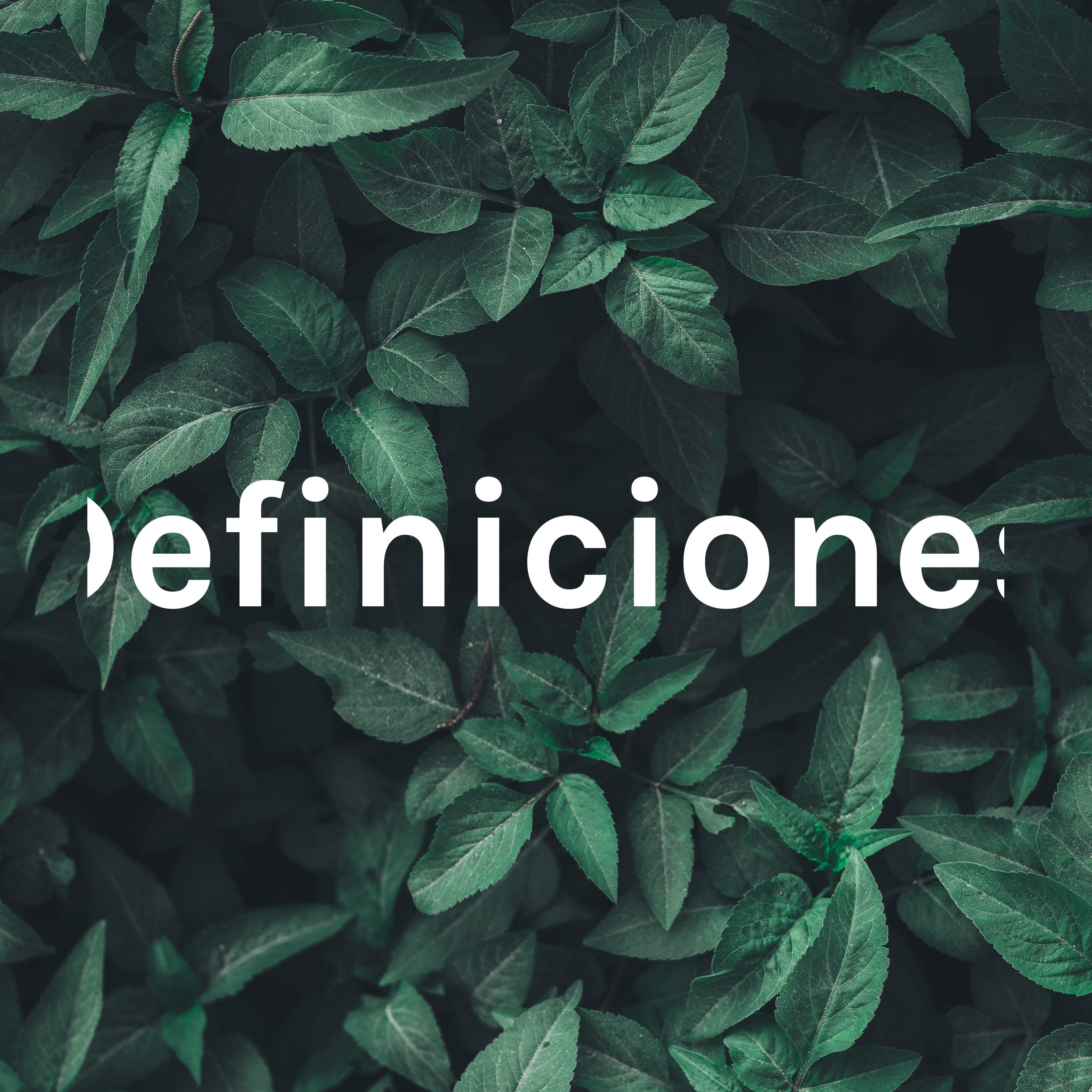 Definiciones