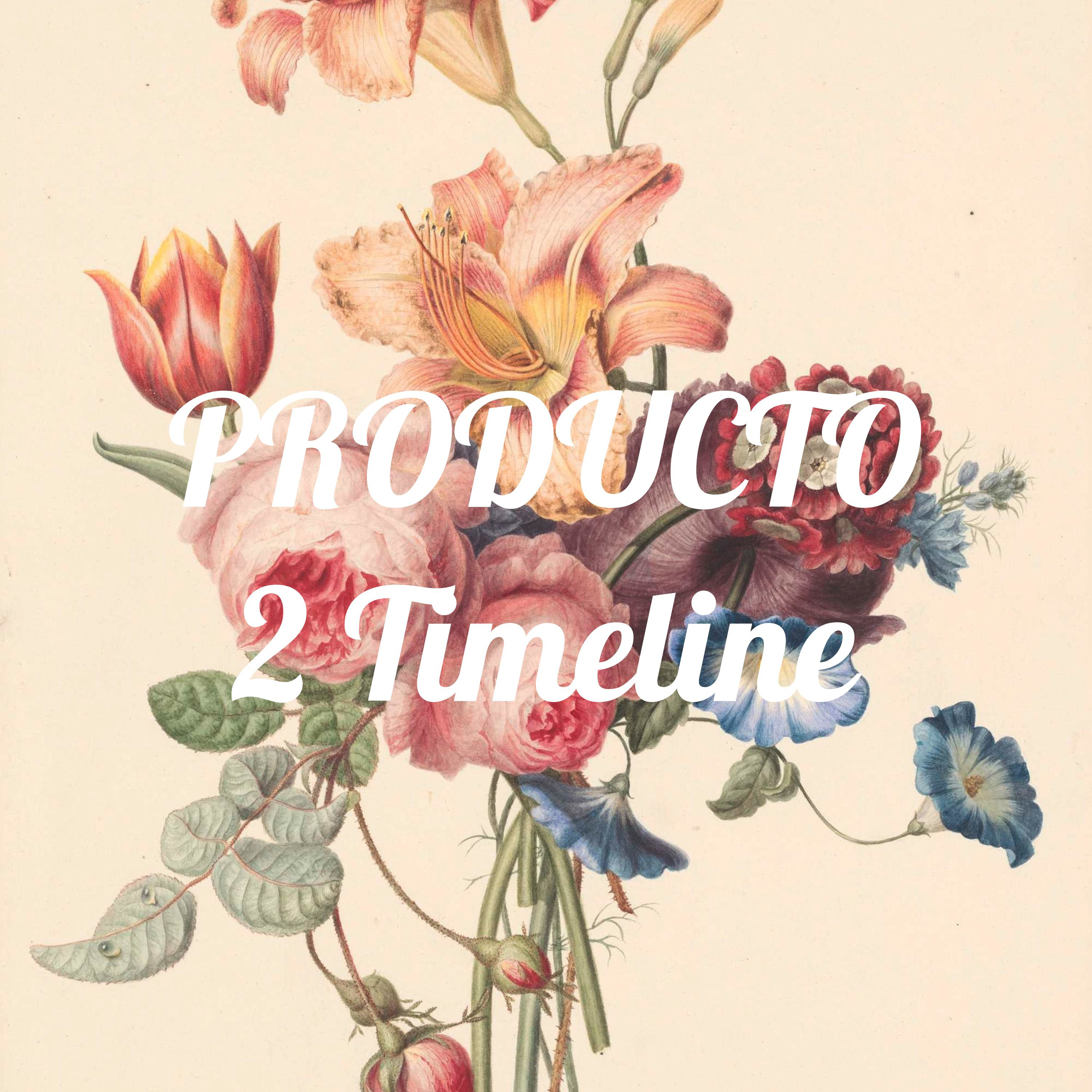 PRODUCTO 2 Timeline podcast artwork