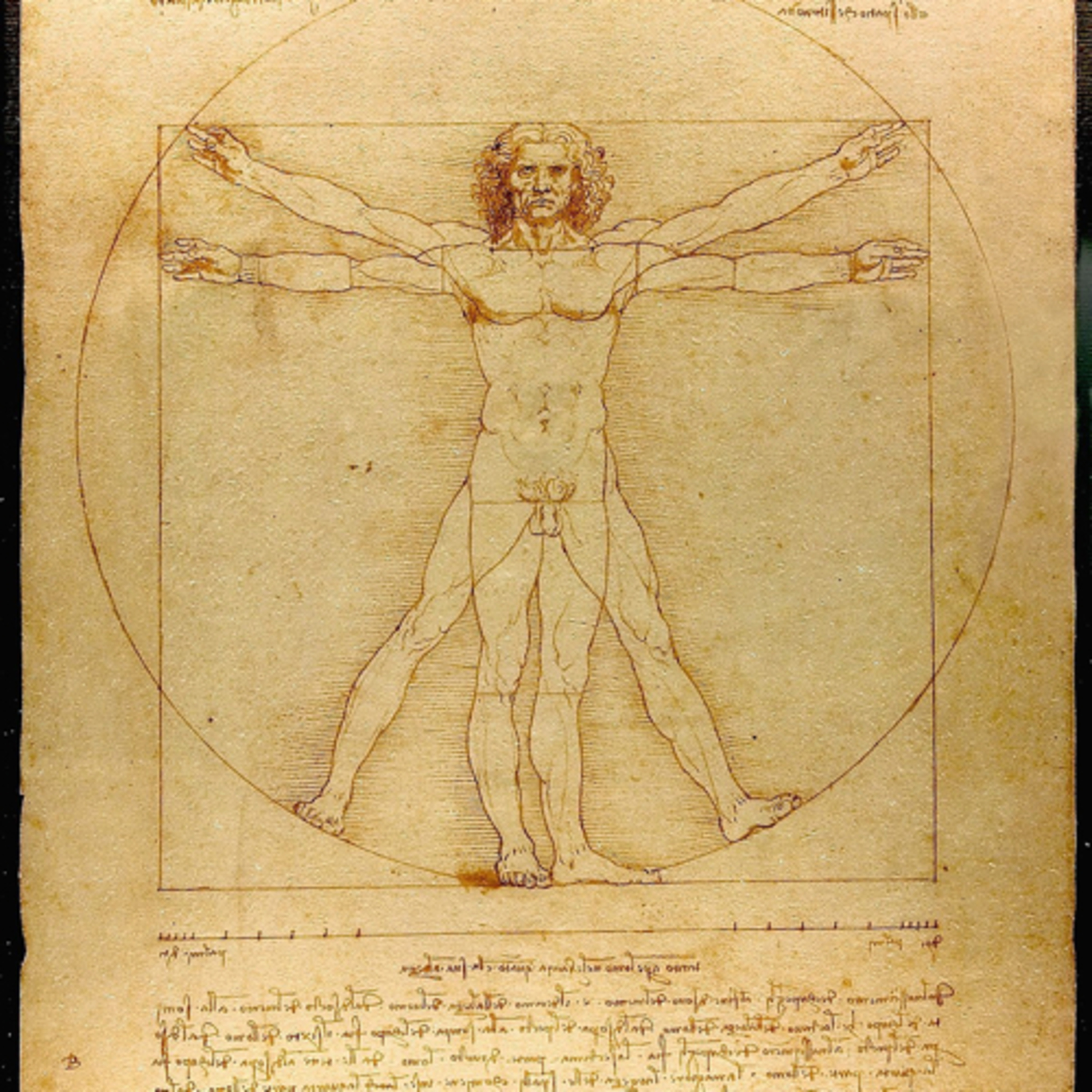 ARTH 110: Introduction to Italian Renaissance Art (final project)