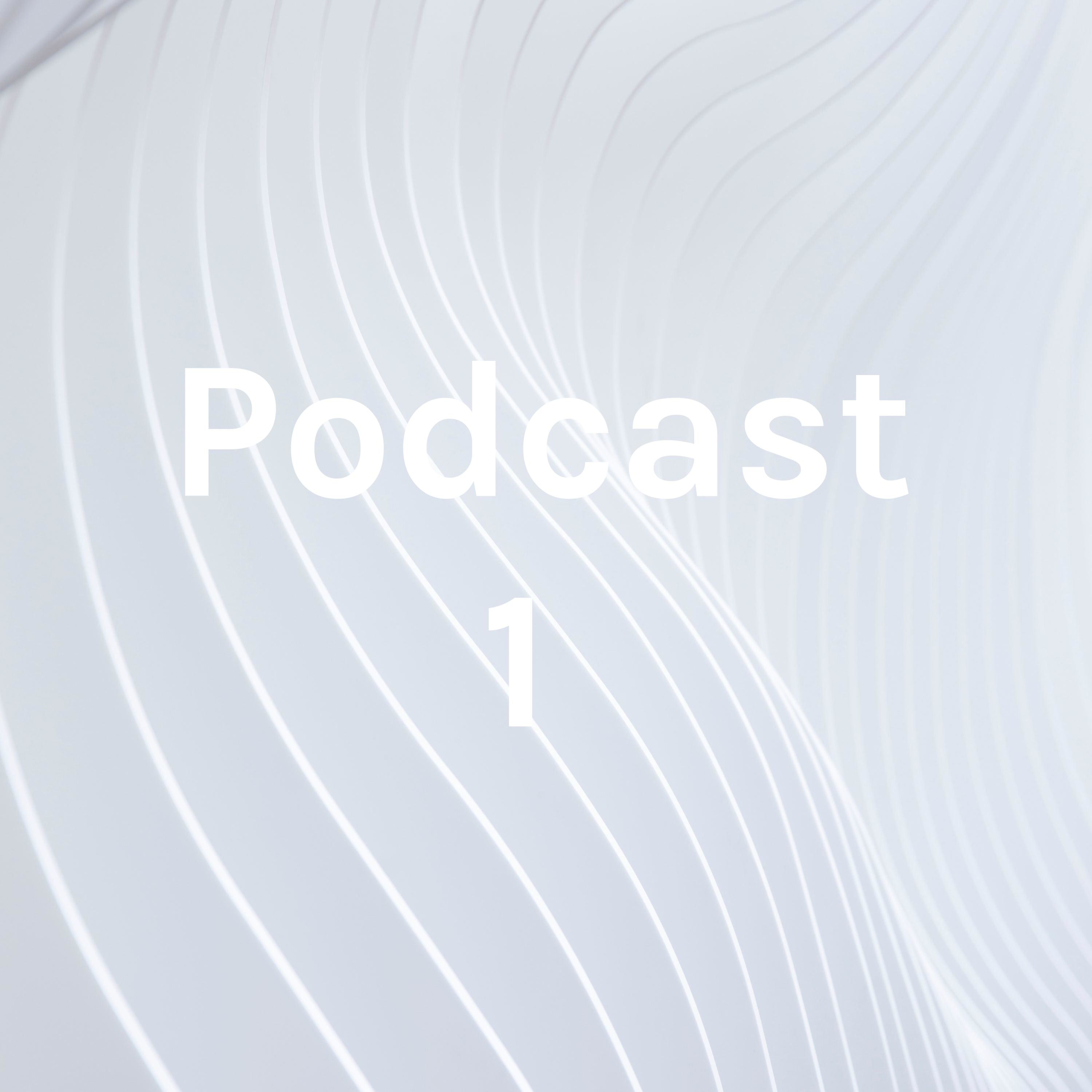 Podcast 1 